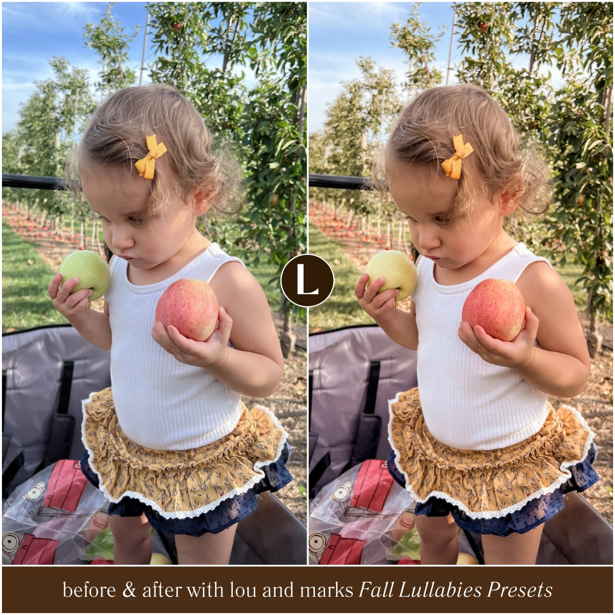 Before and after comparison of a child holding apples in an orchard using Lou and Marks Fall Lullabies Presets.