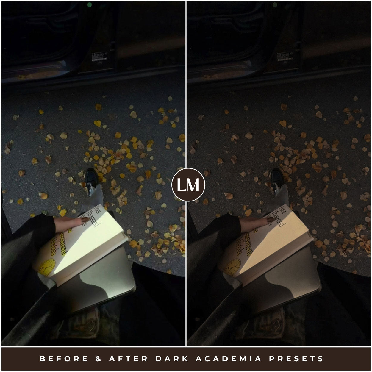 The Best Dark Academia Lightroom Presets By Lou And Marks Presets For Adobe