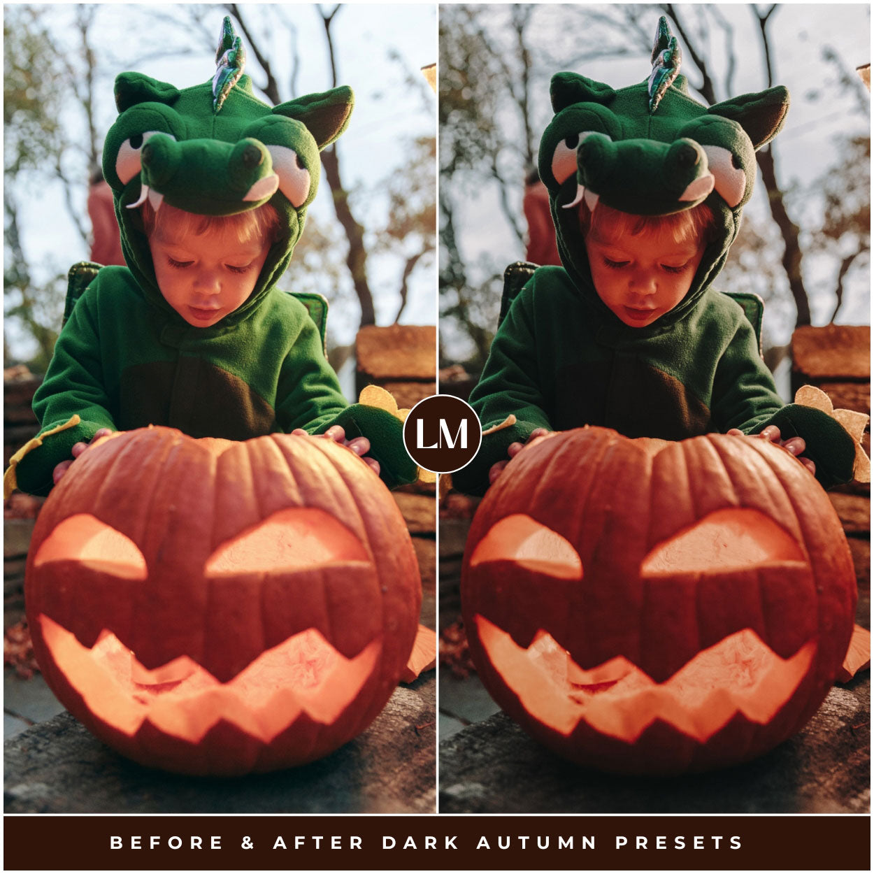 Dark Autumn Lightroom Presets By Lou And Marks Presets