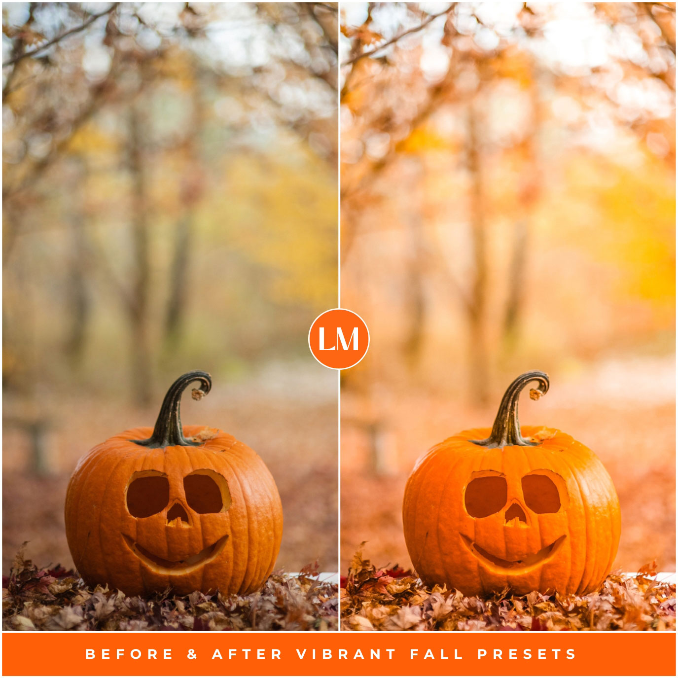 Vibrant Fall Lightroom Presets By Lou And Marks Presets