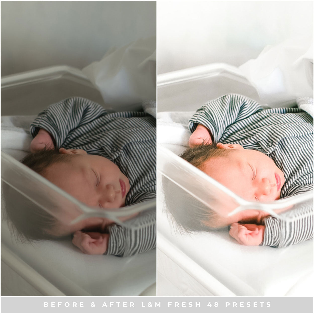 Fresh 48 Lightroom Presets by Lou and Marks Presets