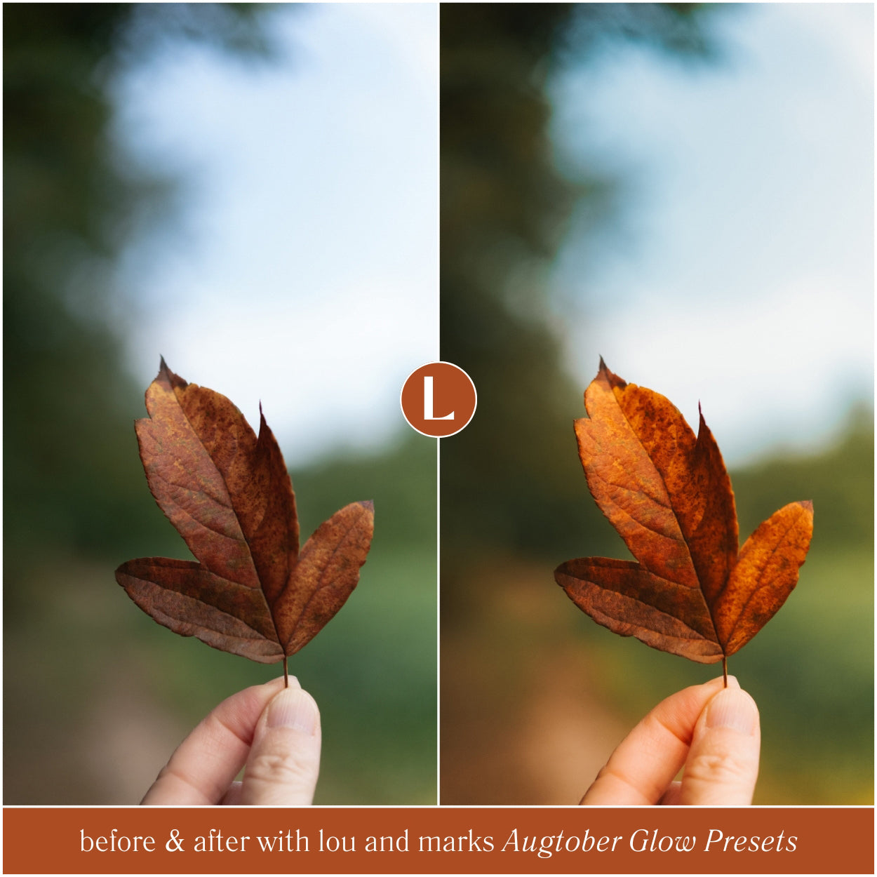 Augtober Glow Lightroom Presets For Adobe Photo Editing by Photographers in Adobe Lightroom Mobile and Desktop and Photoshop ACR create professional photo edits for Instagram fall and halloween by Lou And Marks Presets