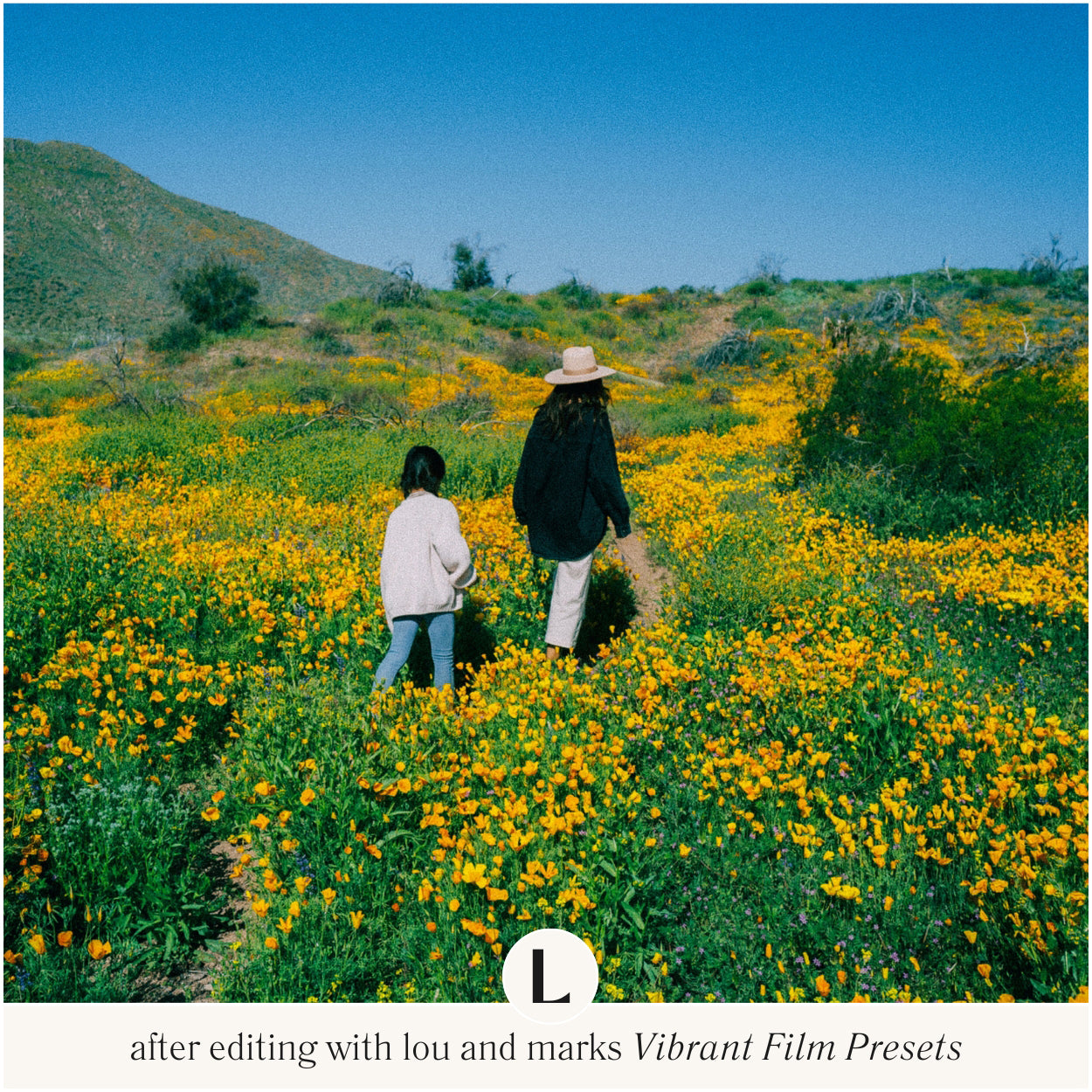 Best Vibrant Film Lightroom Presets For Photo Editing In Adobe Lightroom Mobile And Desktop By Lou And Marks Presets