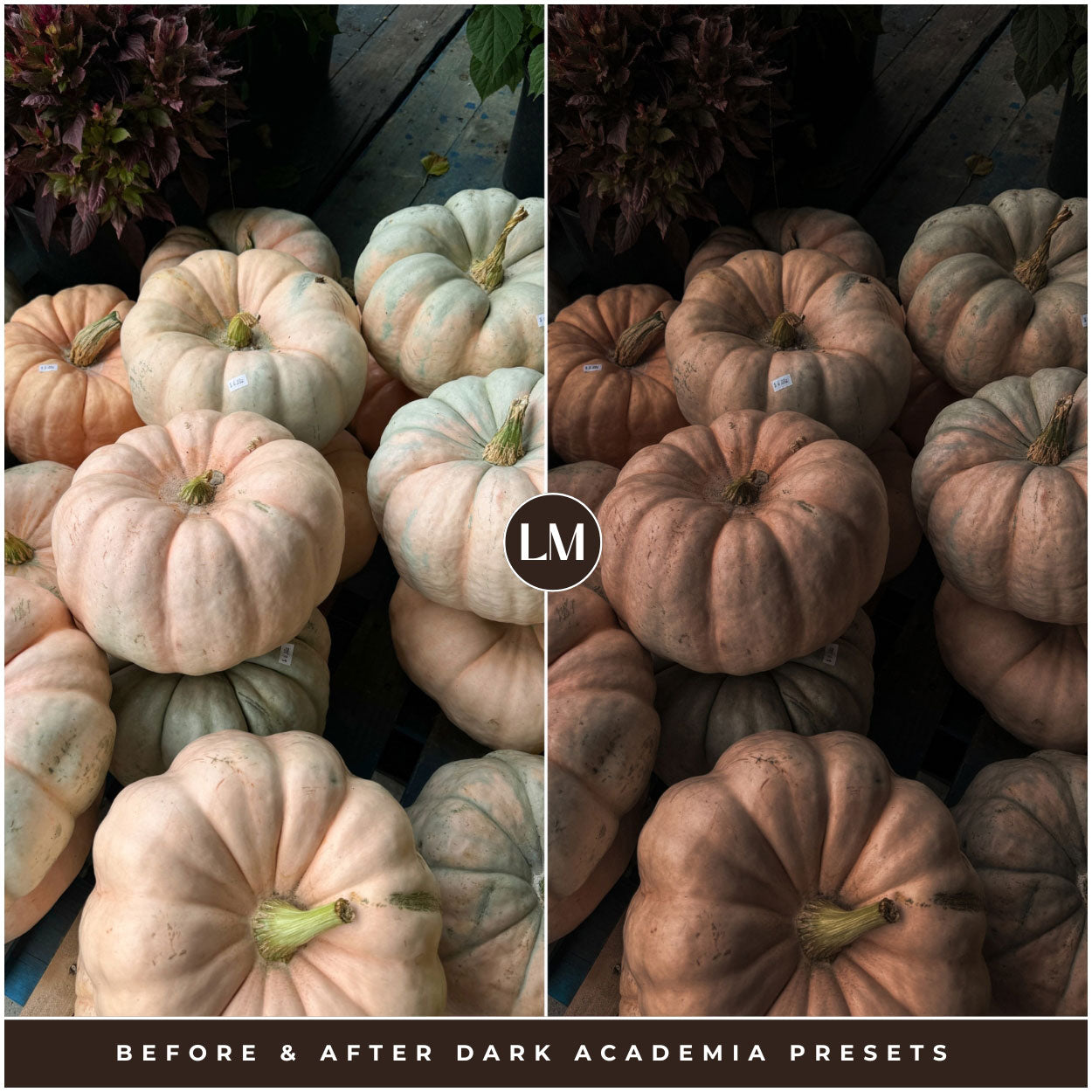 Best Dark Academia Lightroom Presets By Lou And Marks Presets