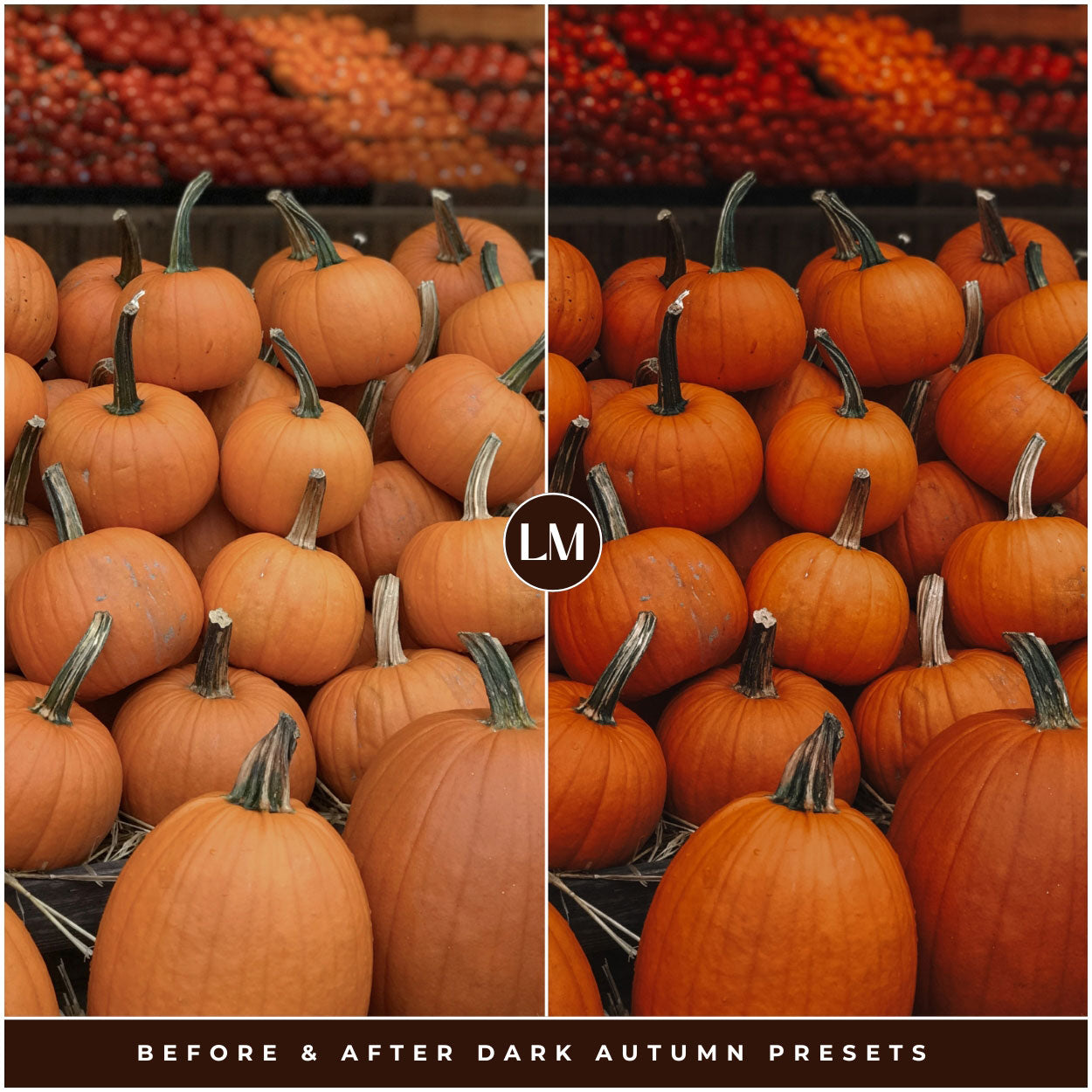 Dark Autumn Lightroom Presets By Lou And Marks Presets