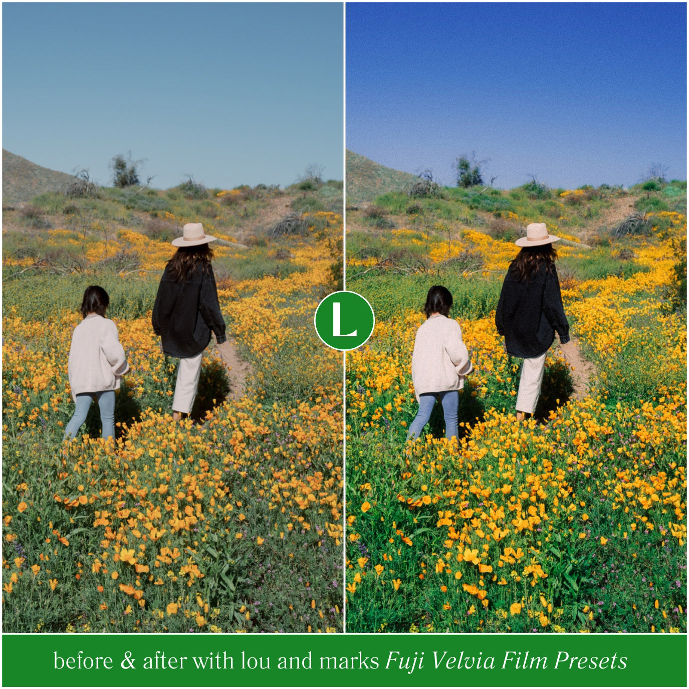 Fuji Velvia 50 Film Lightroom Presets FujiFilm Film Presets For Lightroom and Photographers New