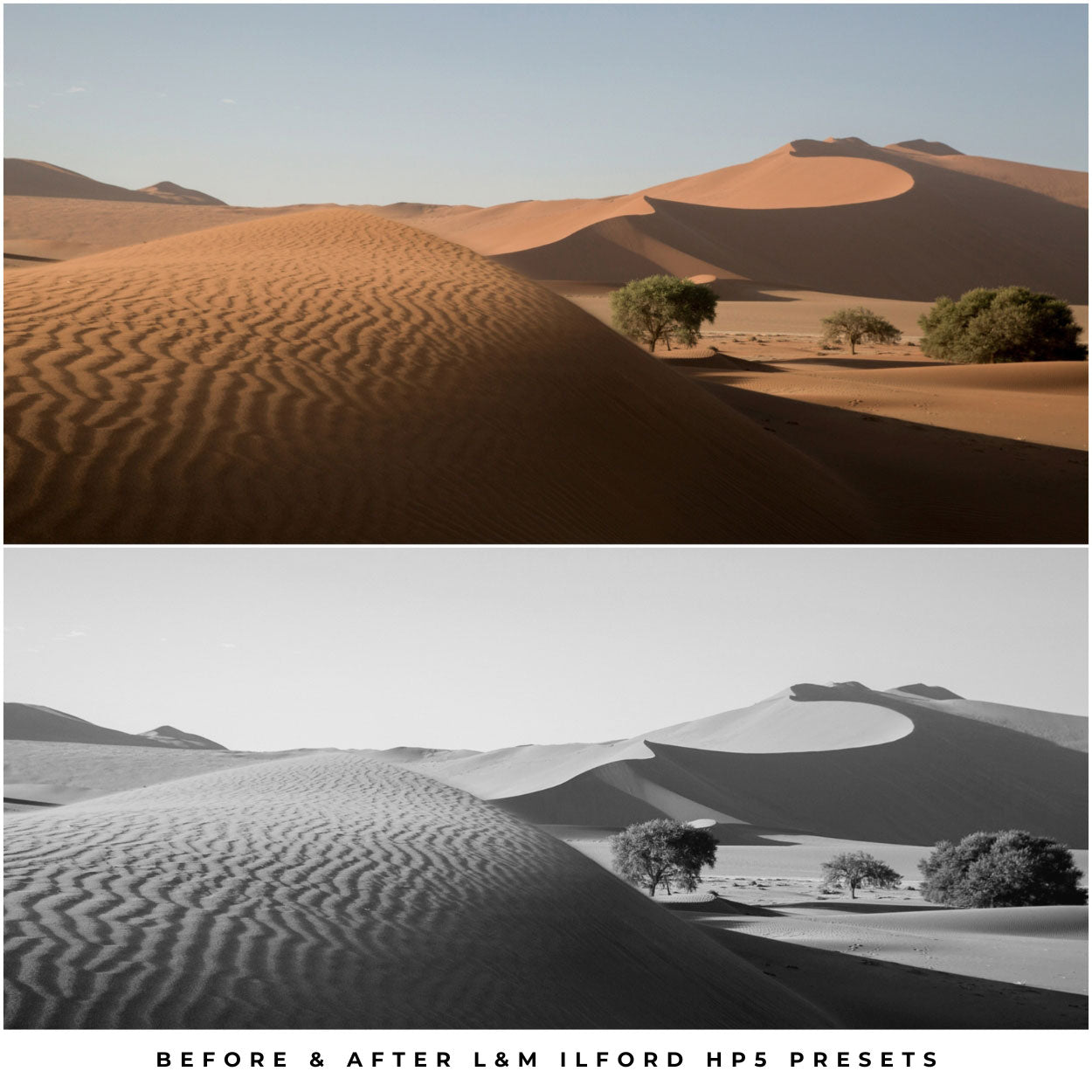 Ilford HP5 Film Lightroom Presets by Lou and Marks Presets