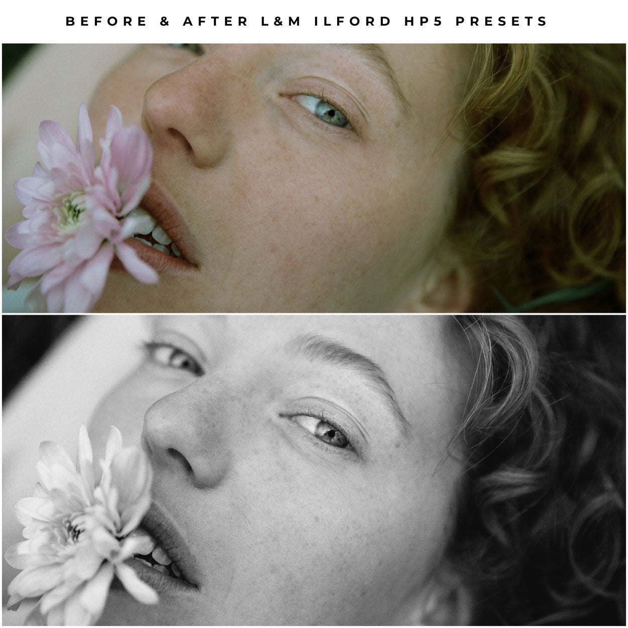 Ilford HP5 Film Lightroom Presets by Lou and Marks Presets