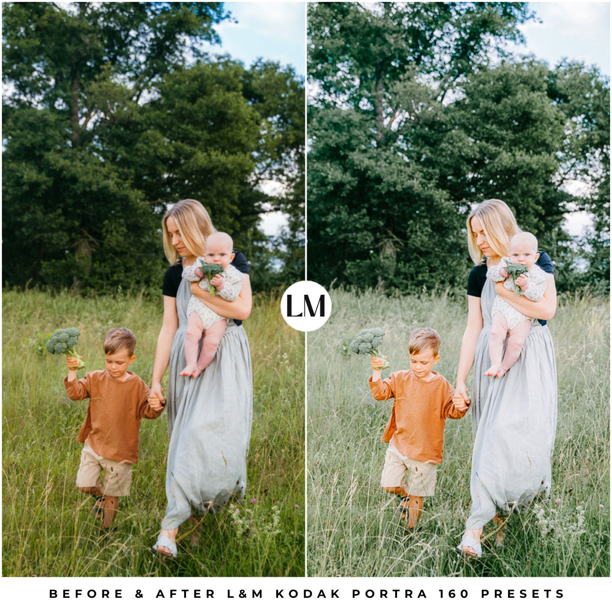 Kodak Portra 160 Film Lightroom Presets by Lou and Marks Presets