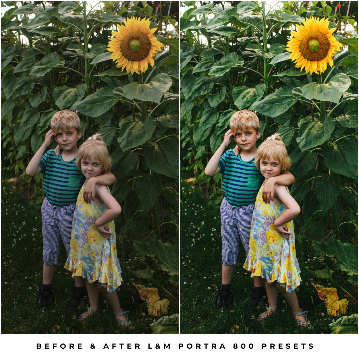 Kodak Portra 800 Film Lightroom Presets by Lou and Marks Presets