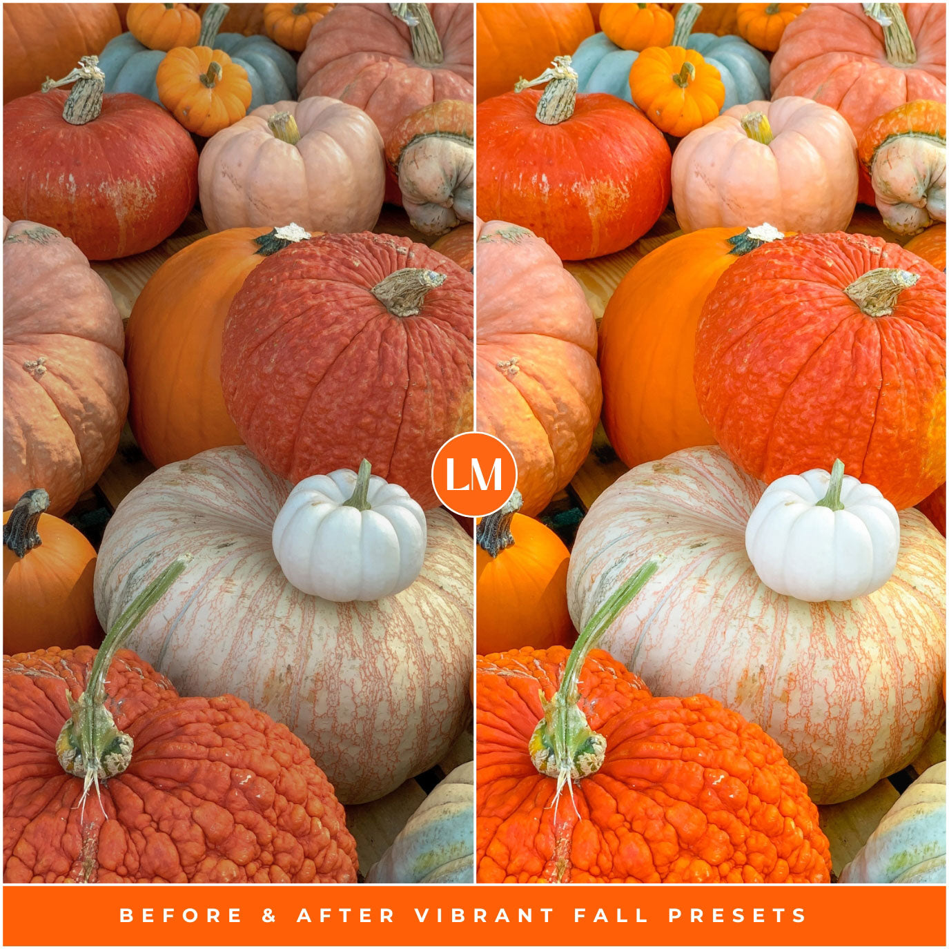 Vibrant Fall Lightroom Presets By Lou And Marks Presets