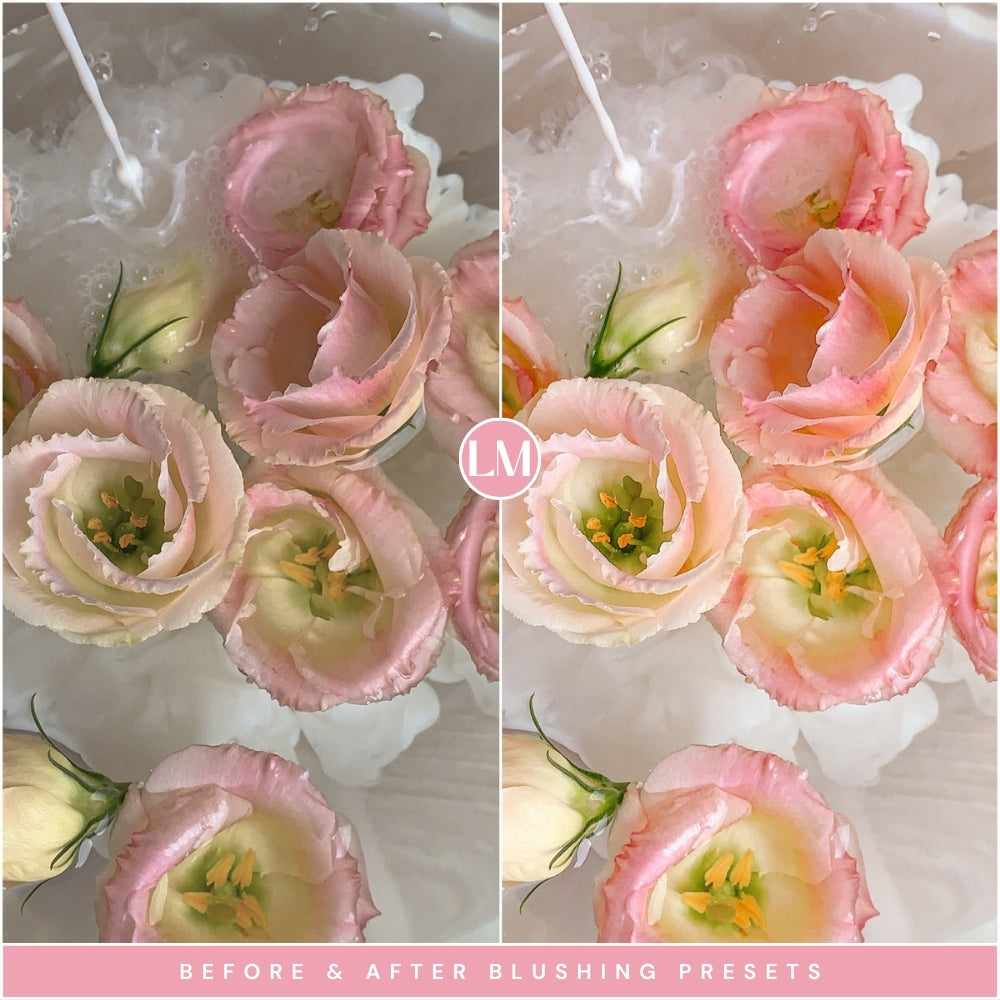 Best Selling Blushing Lightroom Presets The Best Photo Editing Preset Filters For Lightroom Mobile And Desktop For Photographers and Instagram Influencers By Lou And Marks Presets