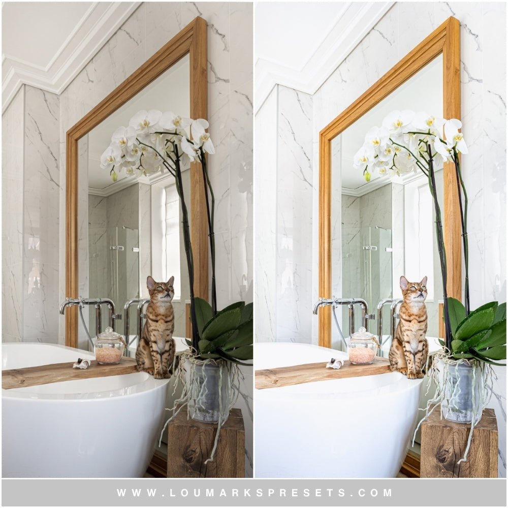 Clean Film Instagram Preset Collection Download For Adobe Lightroom By Lou And Marks Presets