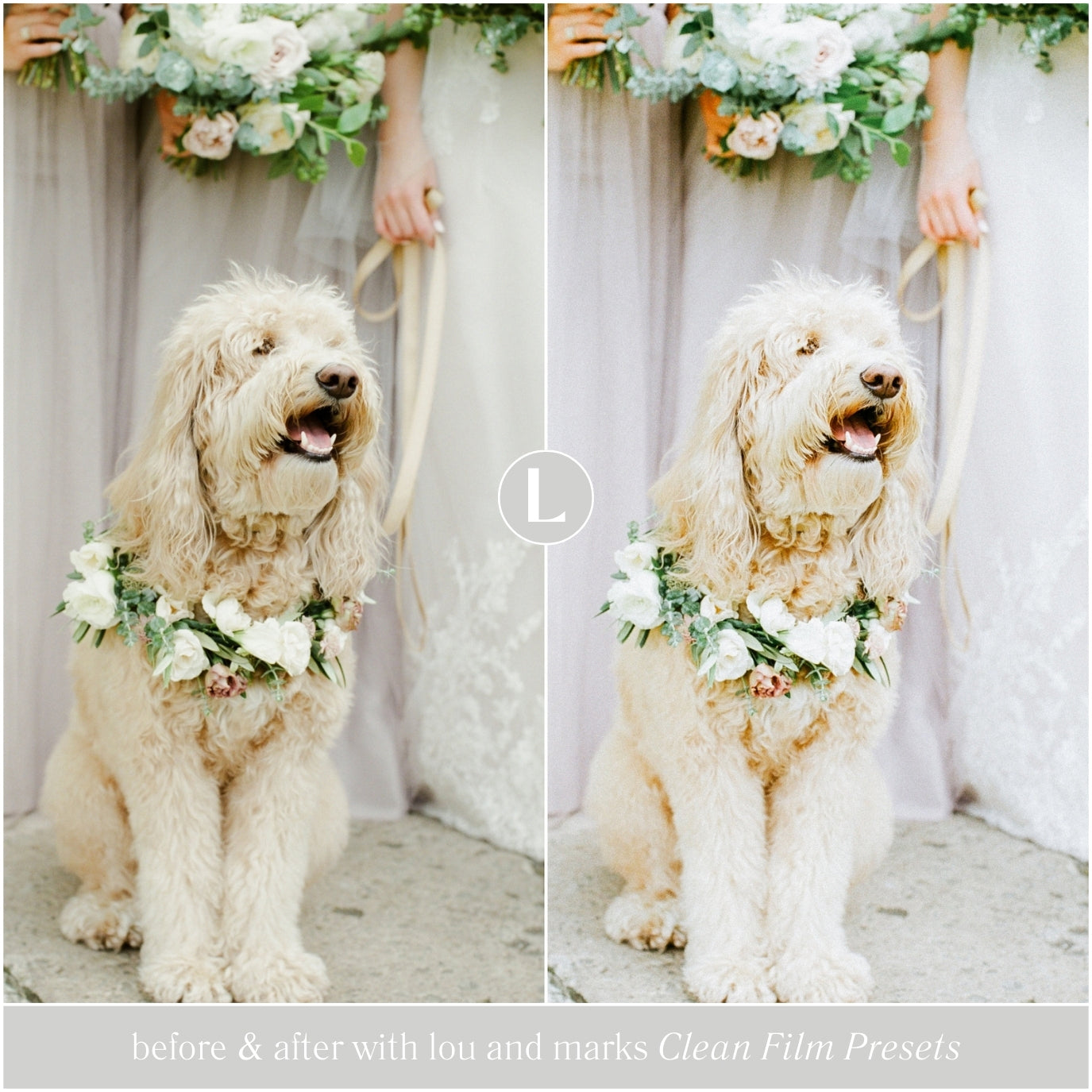 Clean Film Lightroom Presets for photographer and Instagram influencer photo editing in Adobe Lightroom by Lou And Marks Presets Mobile And Desktop