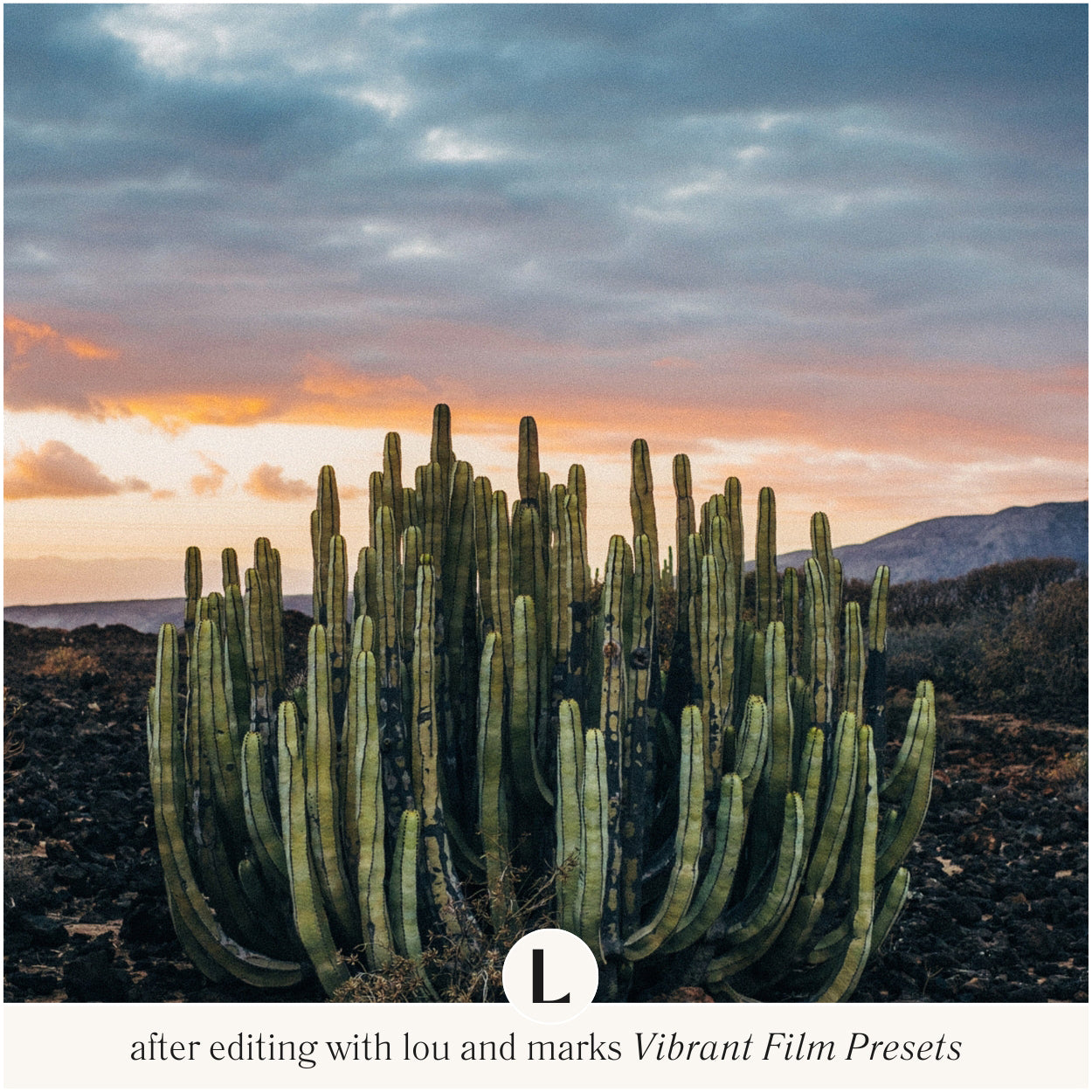 Mobile Vibrant Film Lightroom Presets For Photo Editing In Adobe Lightroom Mobile And Desktop By Lou And Marks Presets