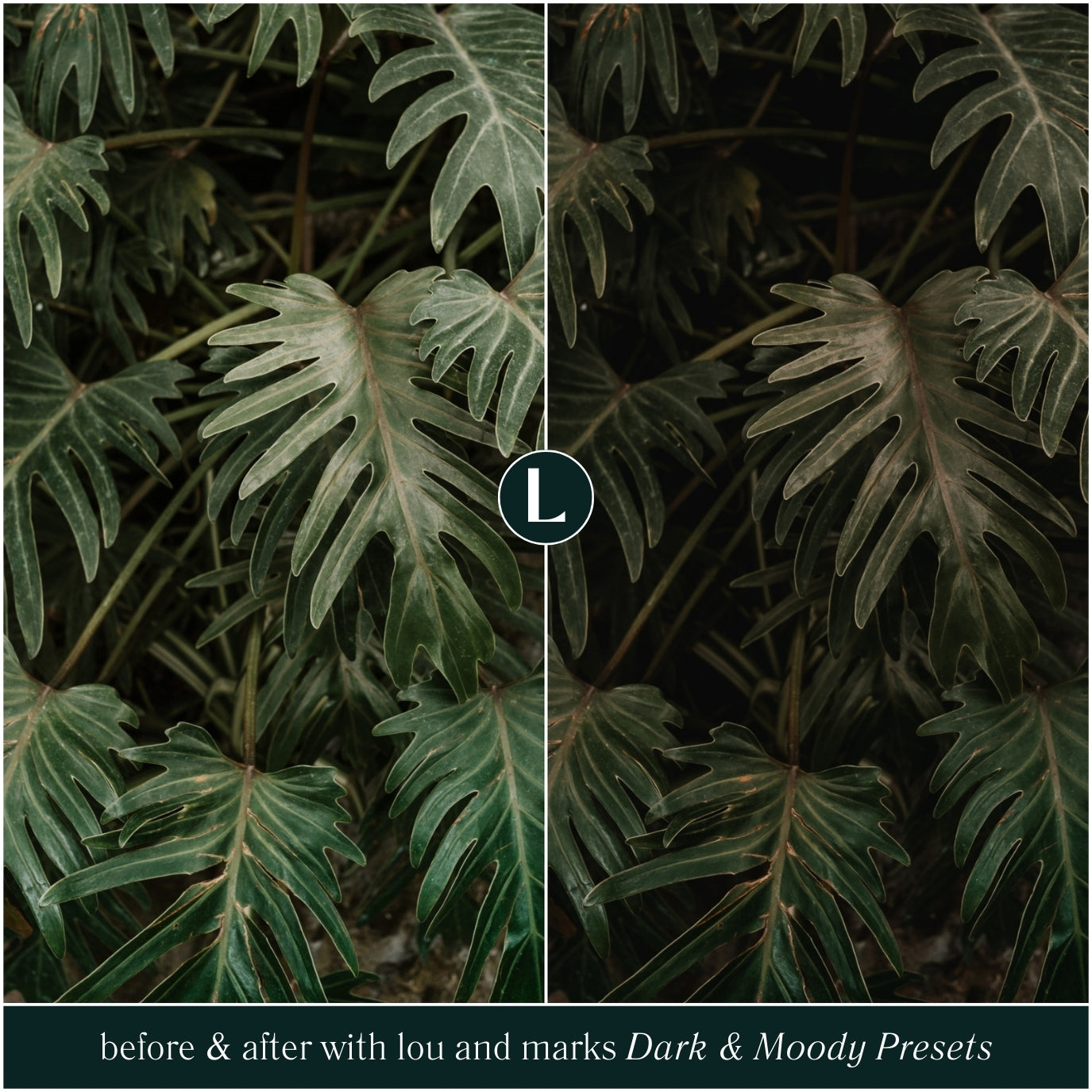 Dark And Moody Lightroom Presets For Photographer Photo Editing For Lifestyle