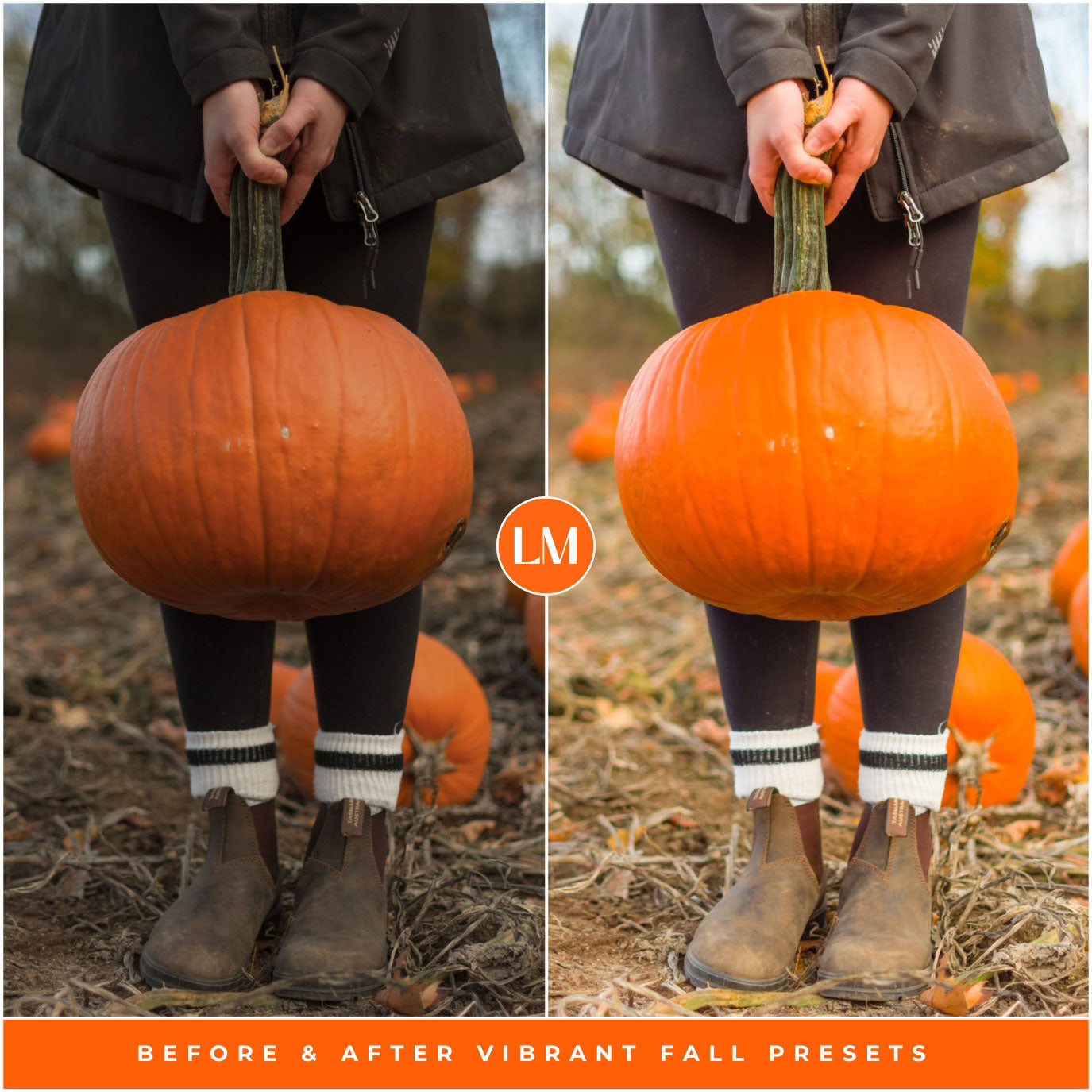 Vibrant Fall Lightroom Presets By Lou And Marks Presets