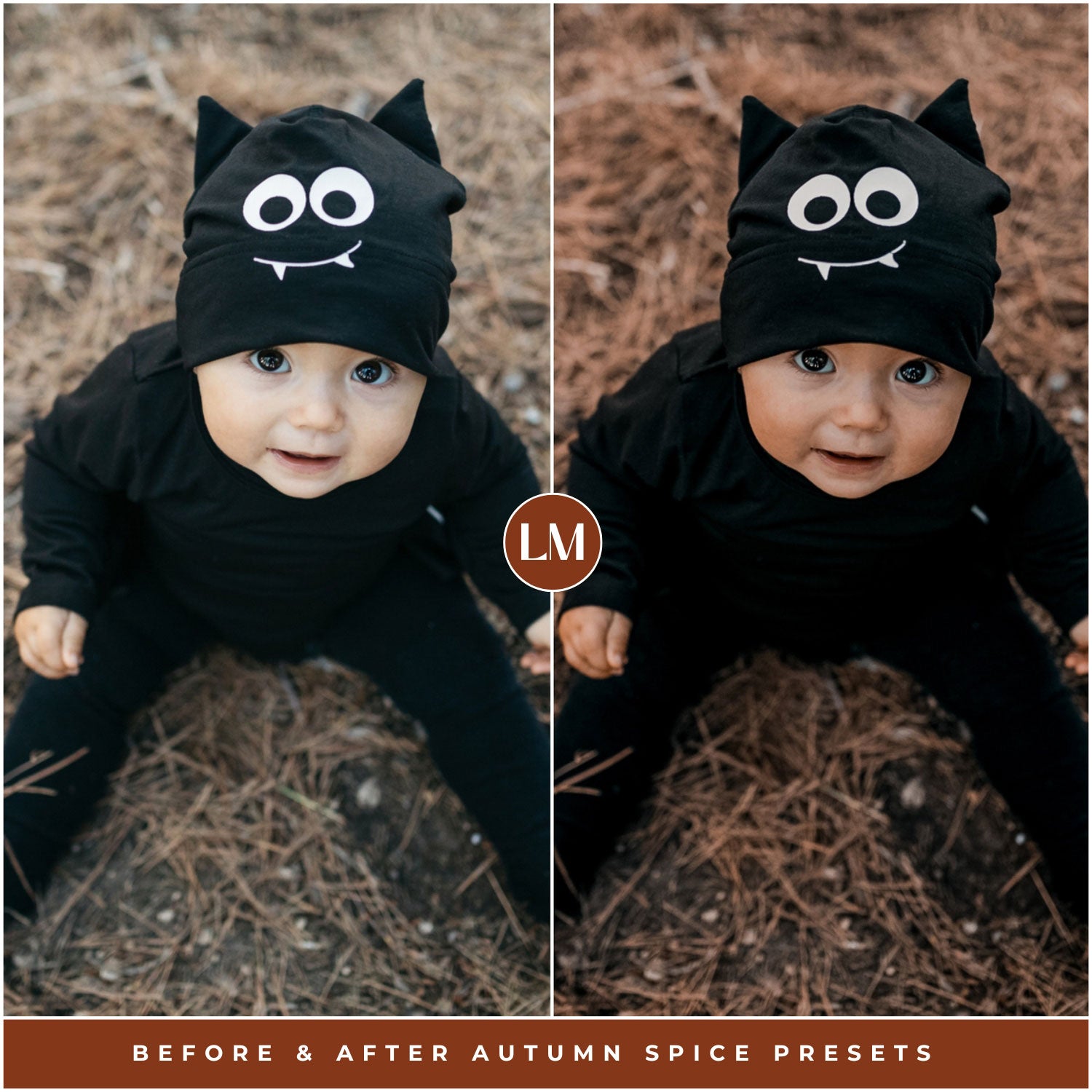 Autumn Spice Lightroom Presets by Lou and Marks Presets