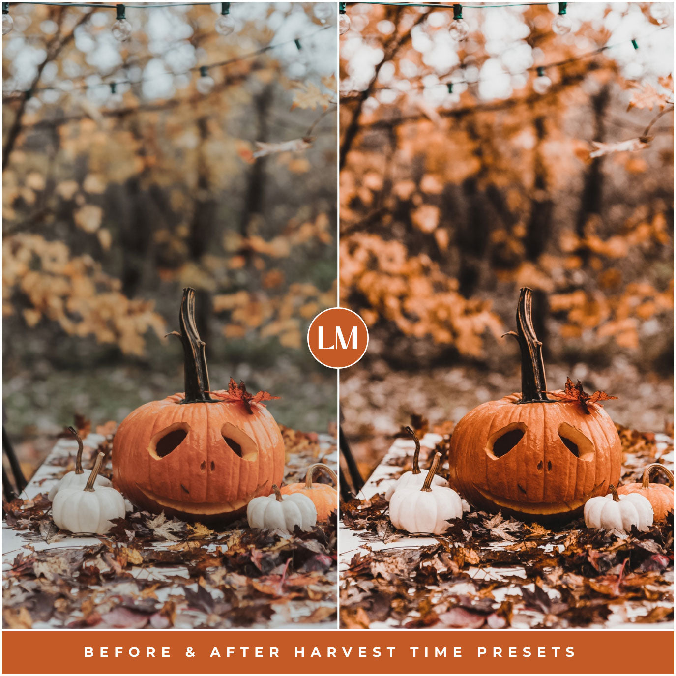 Harvest Time Lightroom Presets By Lou And Marks Presets