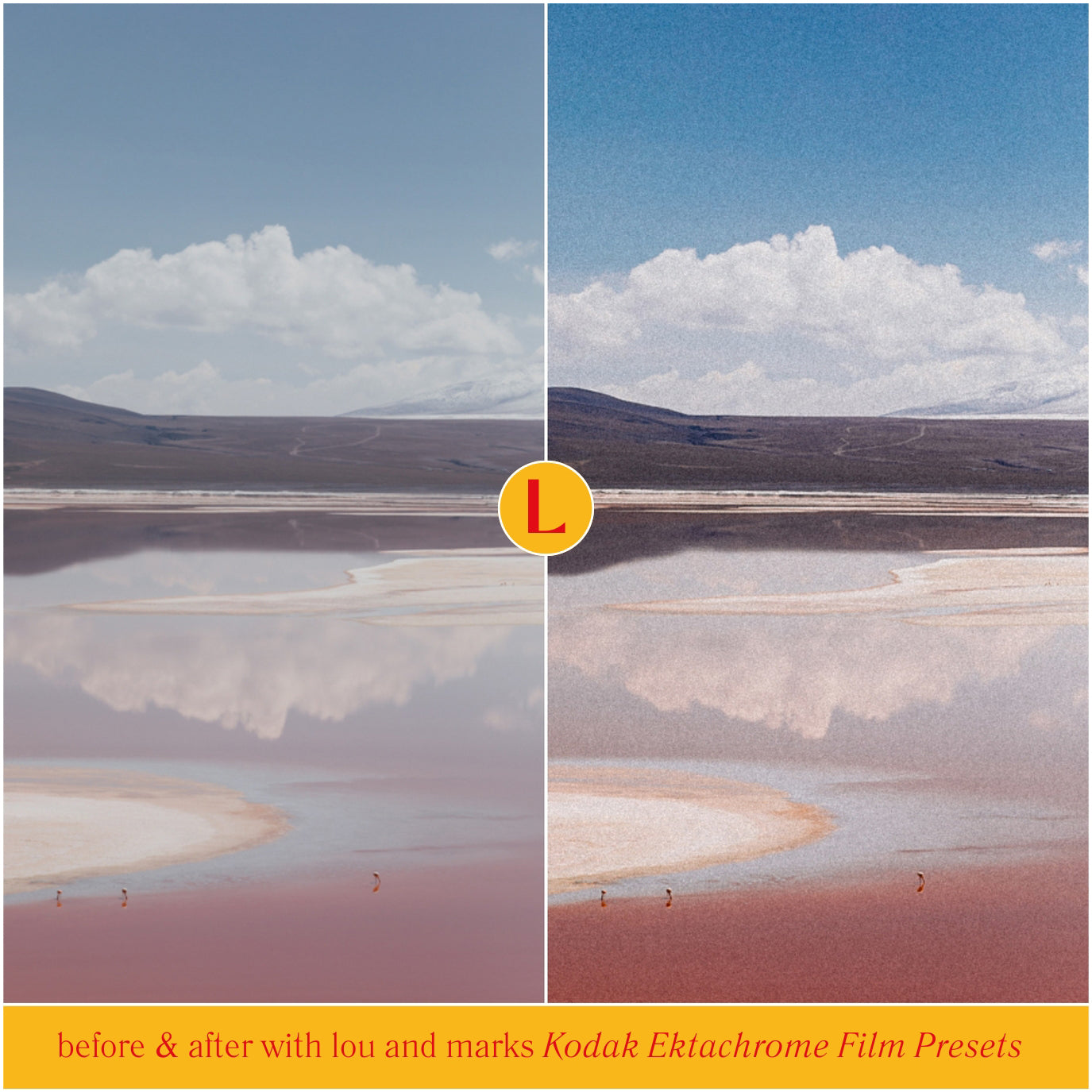 Ektachrome Film Lightroom Presets Kodak Film Filters For Adobe Lightroom And Photographer Photo Editing Landscape