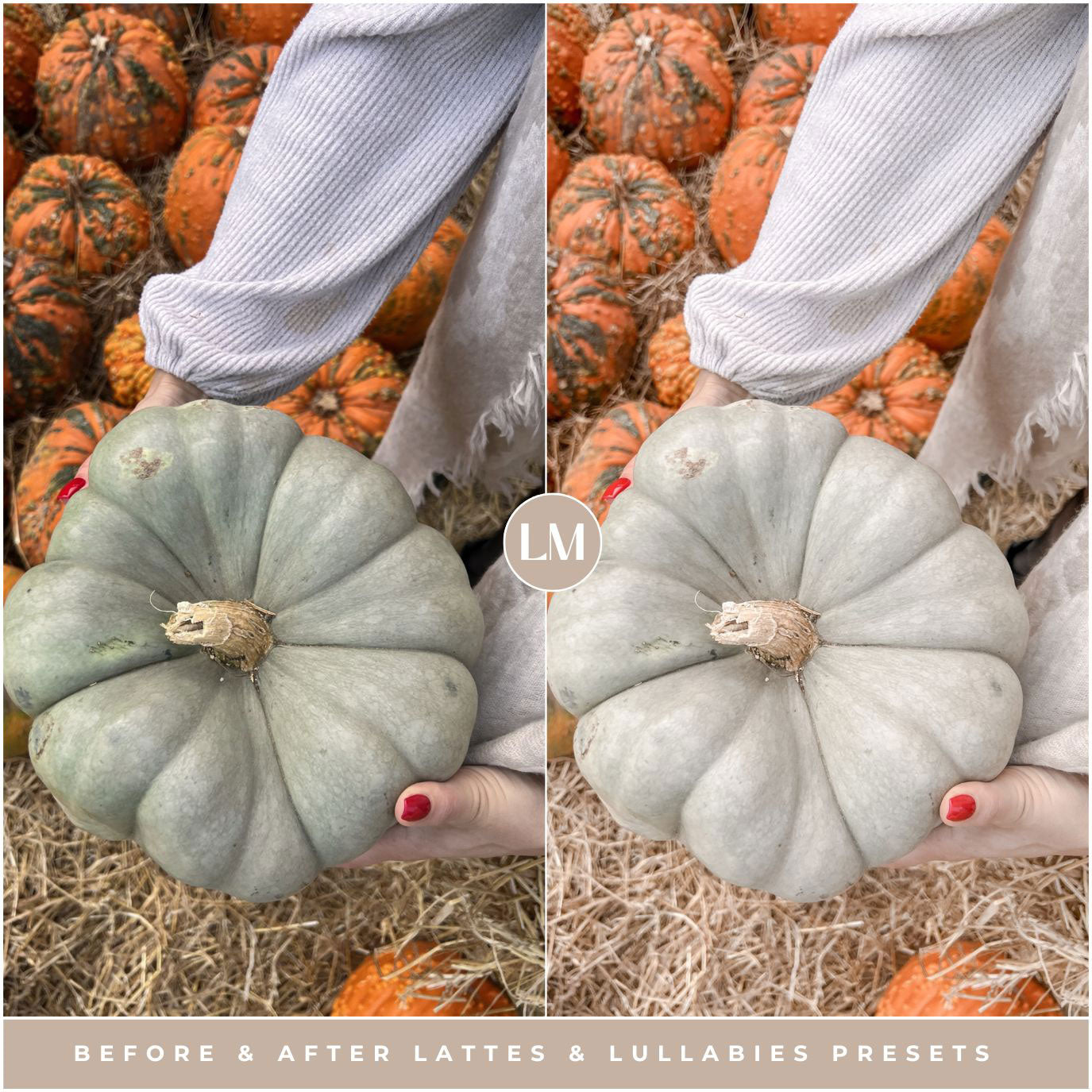 Lattes & Lullabies Presets By Lou And Marks Presets