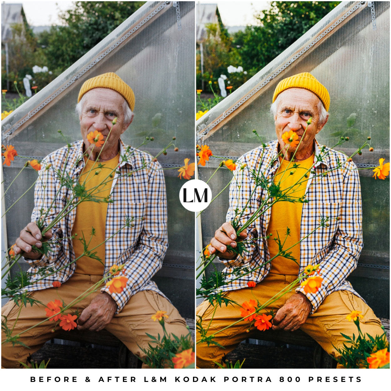 Kodak Portra 800 Film Lightroom Presets by Lou and Marks Presets