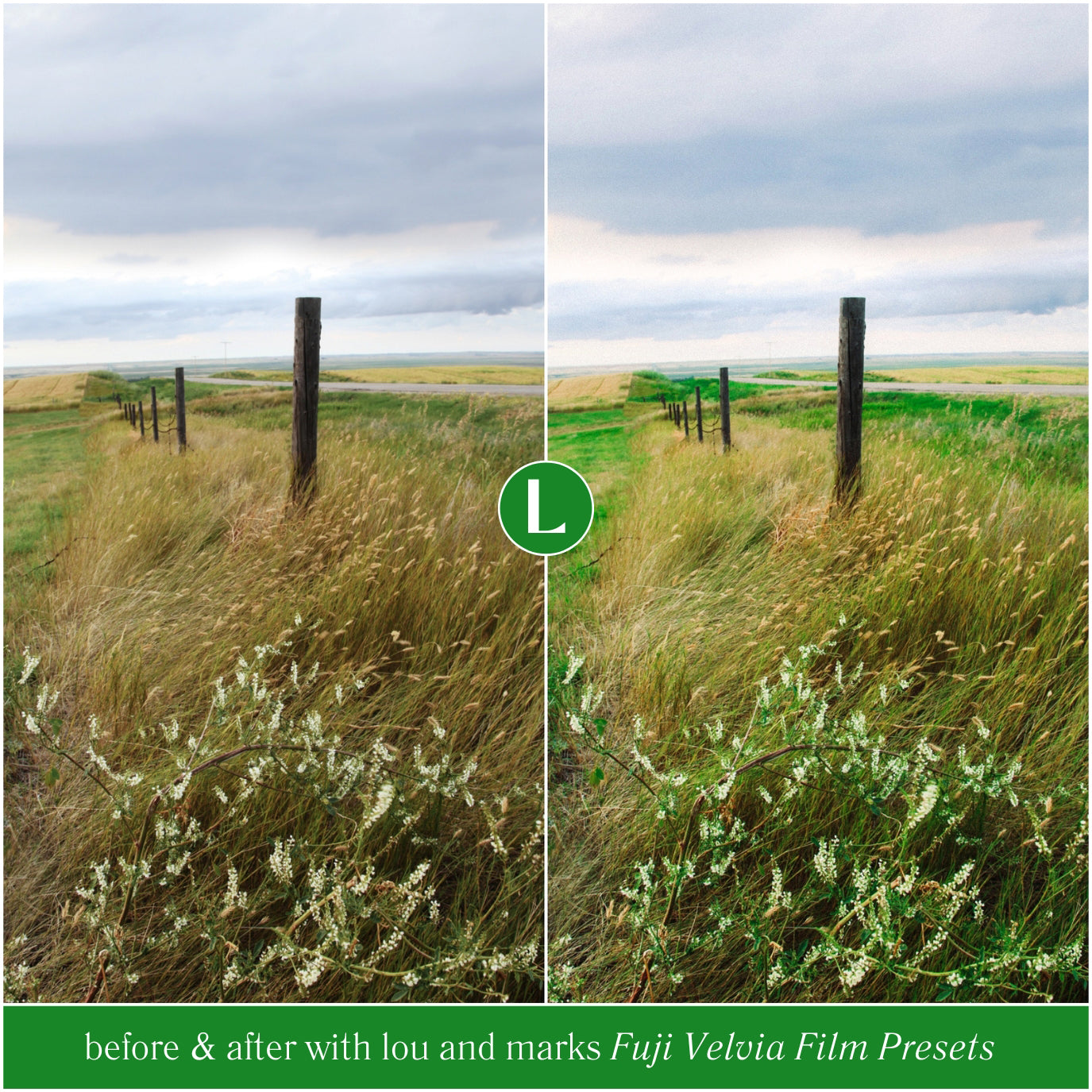 Fuji Velvia 50 Film Lightroom Presets FujiFilm Film Presets For Lightroom and Photographers Travel