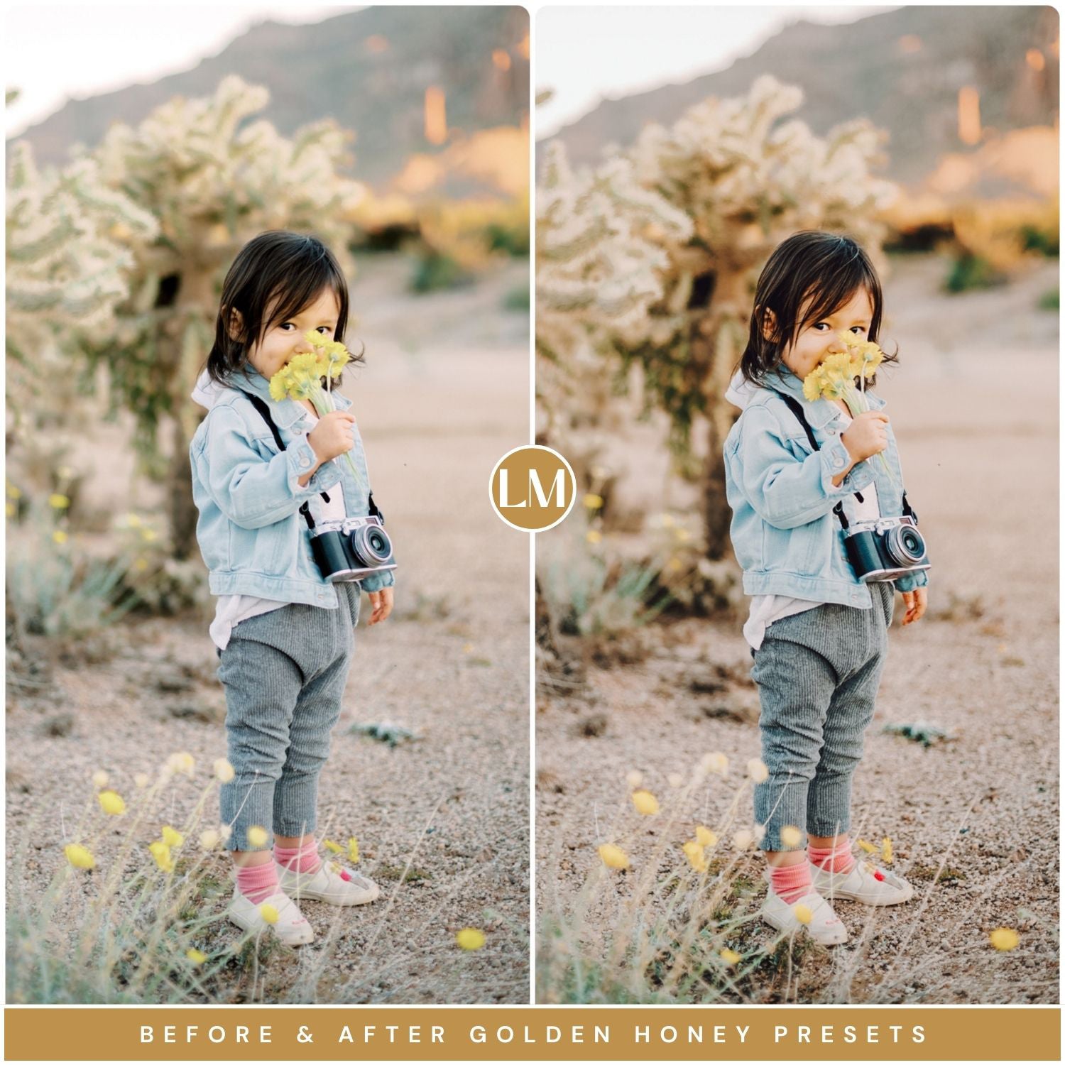 Golden Honey Lightroom Presets by Lou and Marks Presets