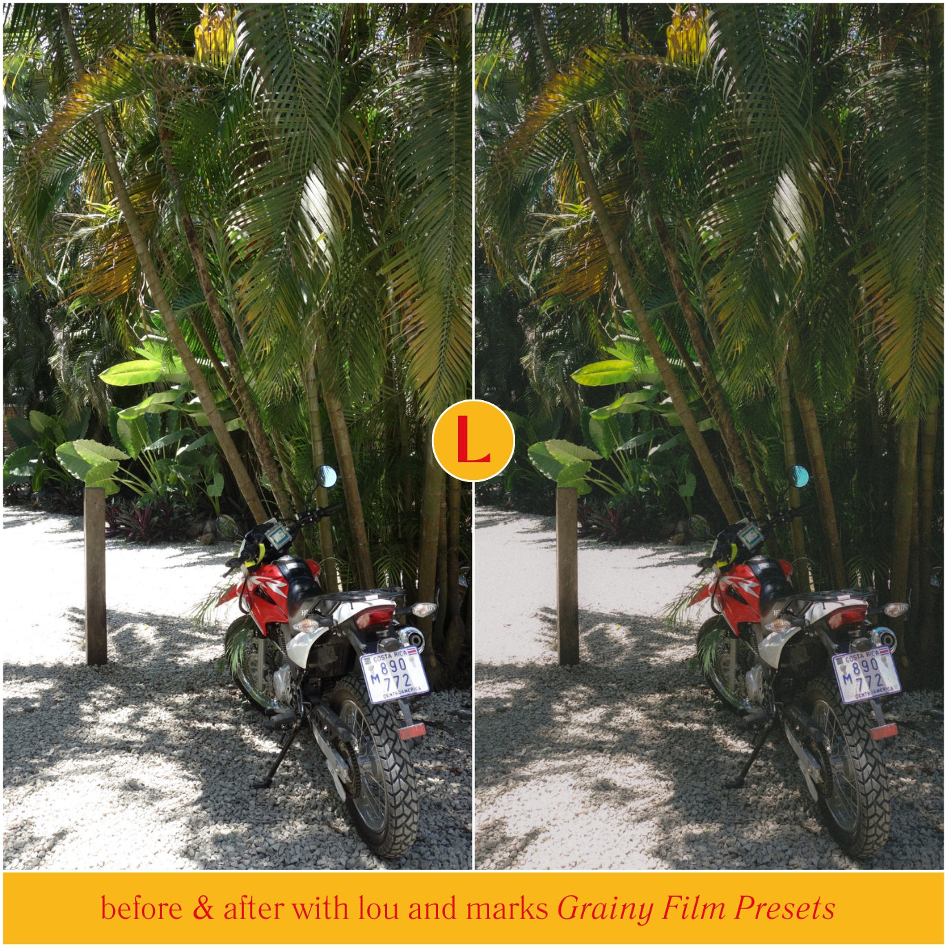 Grainy Retro Film Lightroom Presets And Film Filters For Adobe Lightroom Lou And Marks