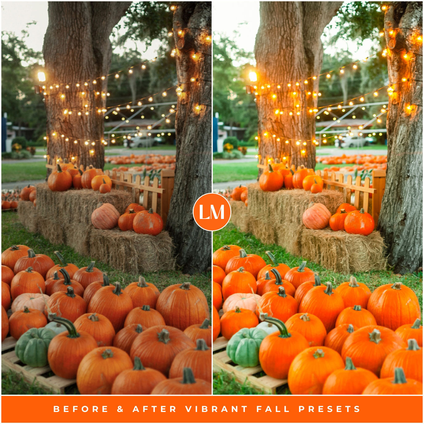 Vibrant Fall Lightroom Presets By Lou And Marks Presets
