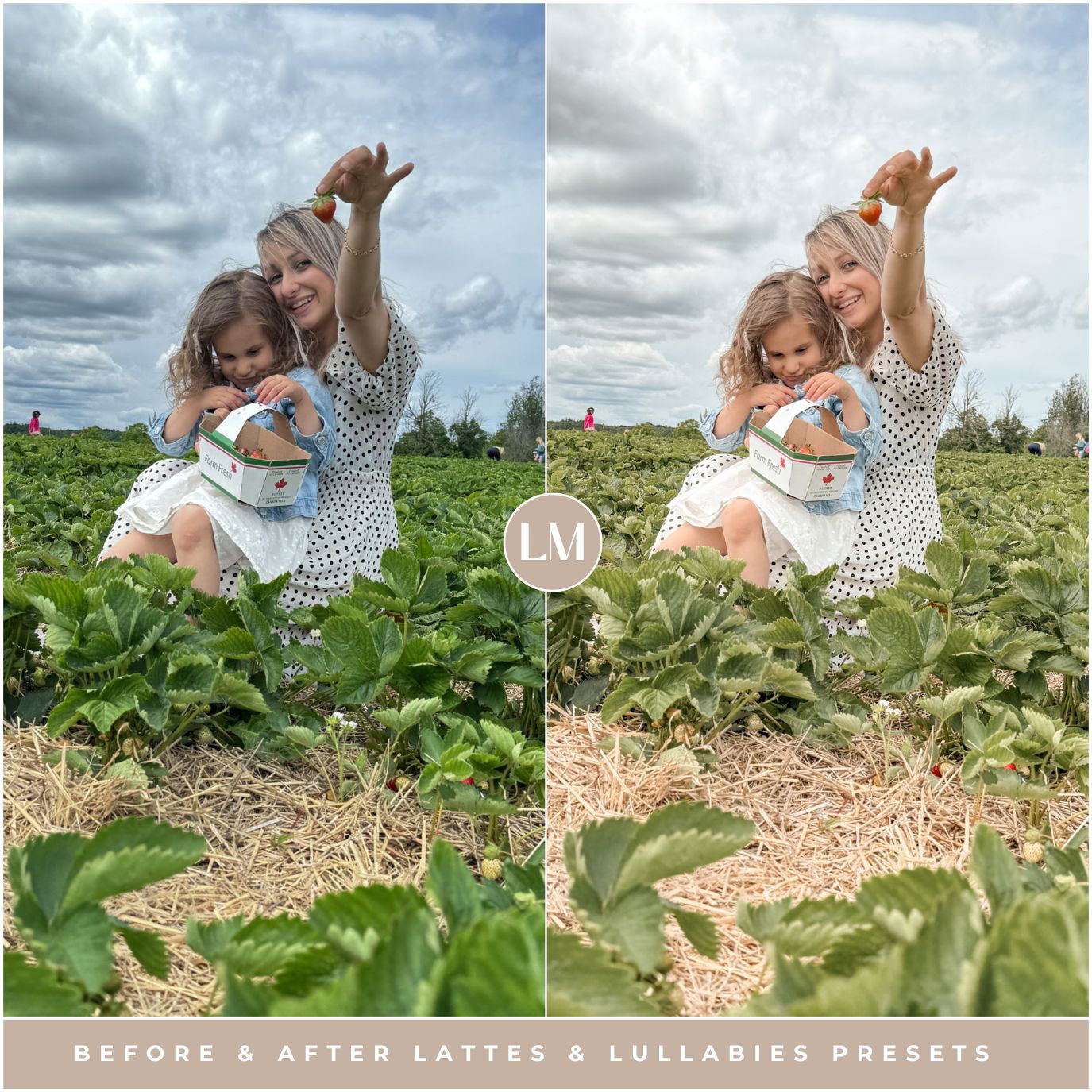 Lattes & Lullabies Presets By Lou And Marks Presets
