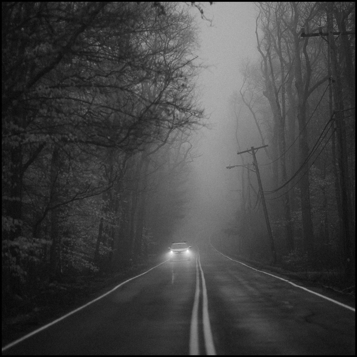 Kodak Tri X Film Lightroom Presets And Film Filters For Lightroom By Lou And Marks Presets
