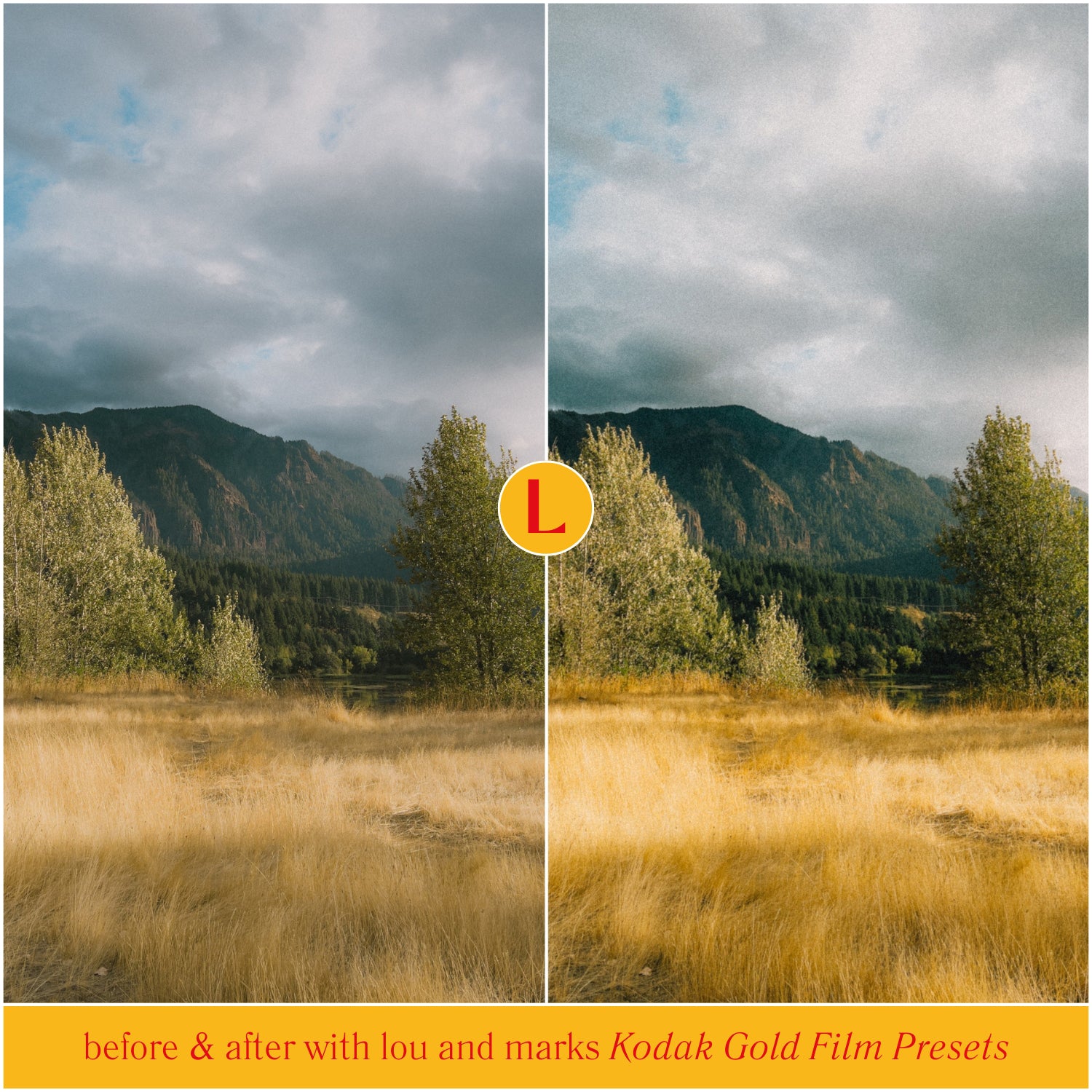 Kodak Gold Film Lightroom Presets for photographer photo editing and Instagram photo editing in Adobe Lightroom in one click or landscape photos