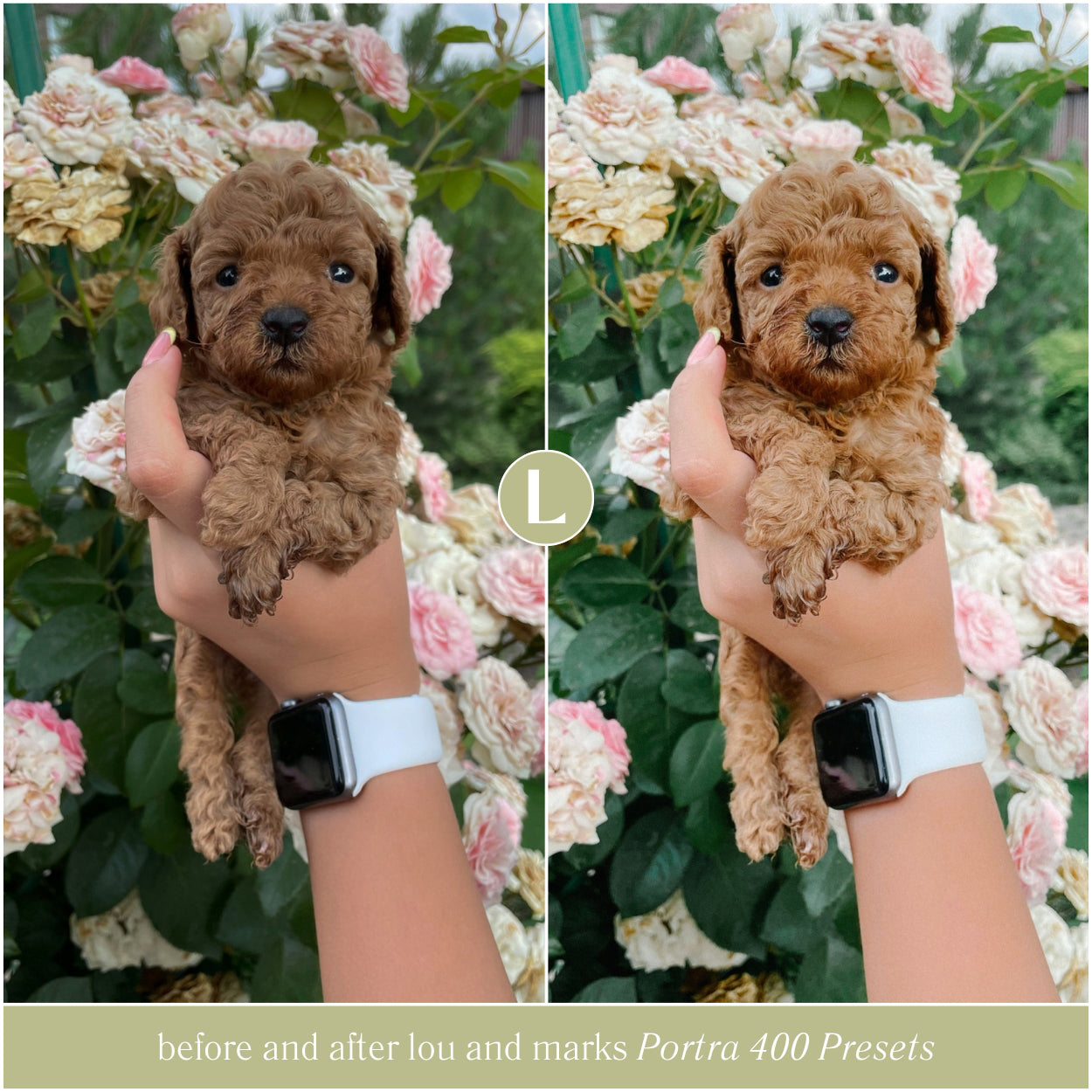 Best Kodak Portra Film 400 Lightroom Presets By Lou And Marks Presets For Photographer Photo Editing