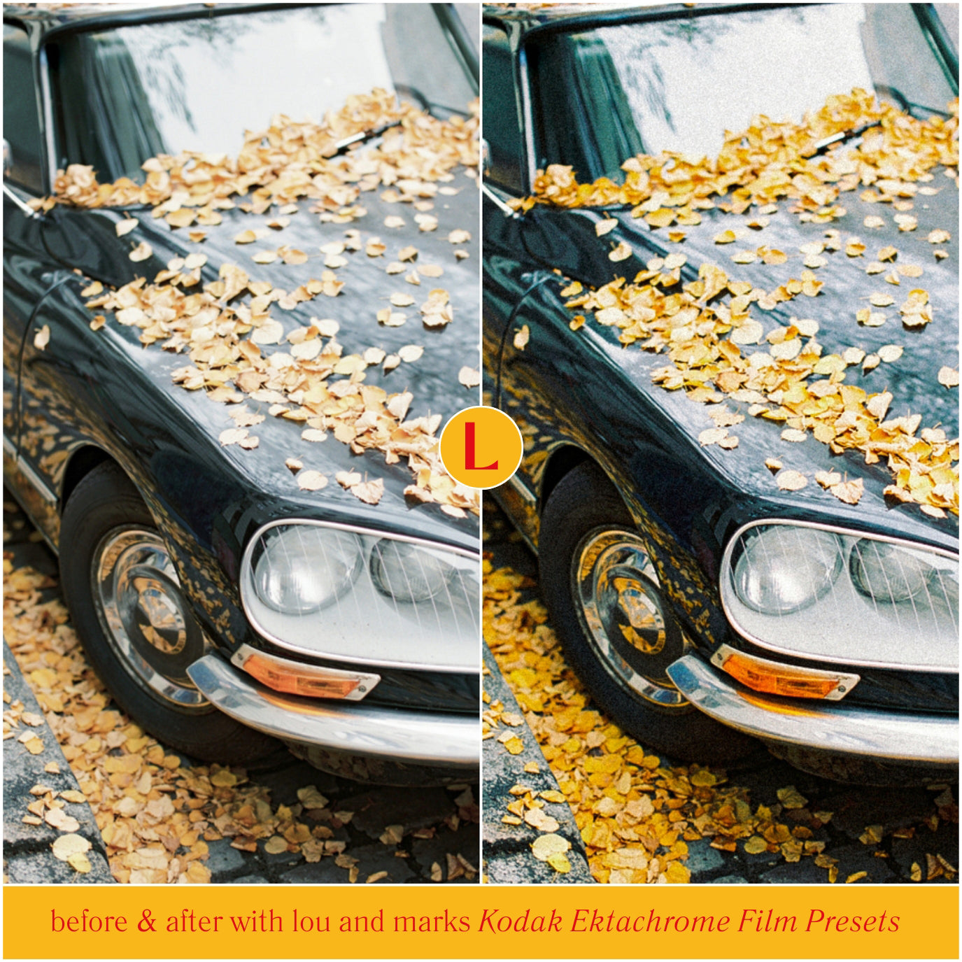 Ektachrome Film Lightroom Presets Kodak Film Filters For Adobe Lightroom And Photographer Photo Editing Analog