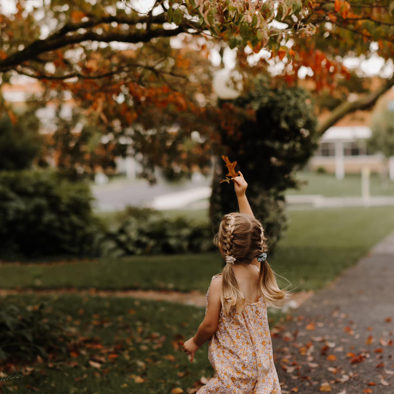 Lou And Marks Presets Best Creamy Moody Lightroom Presets For Children Photography Photo Editing And Instagram Filters