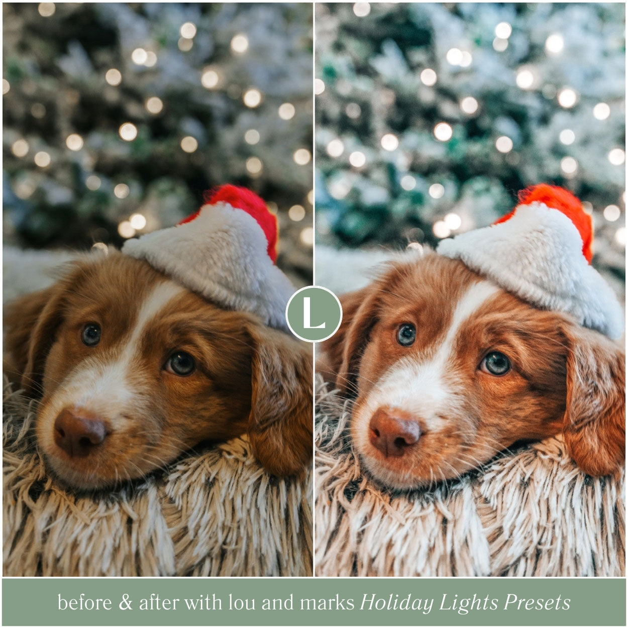 Holiday Lights Lightroom Presets For Best Christmas And Winter Photo Editing In Adobe Lightroom By Lou And Marks Presets For Mobile