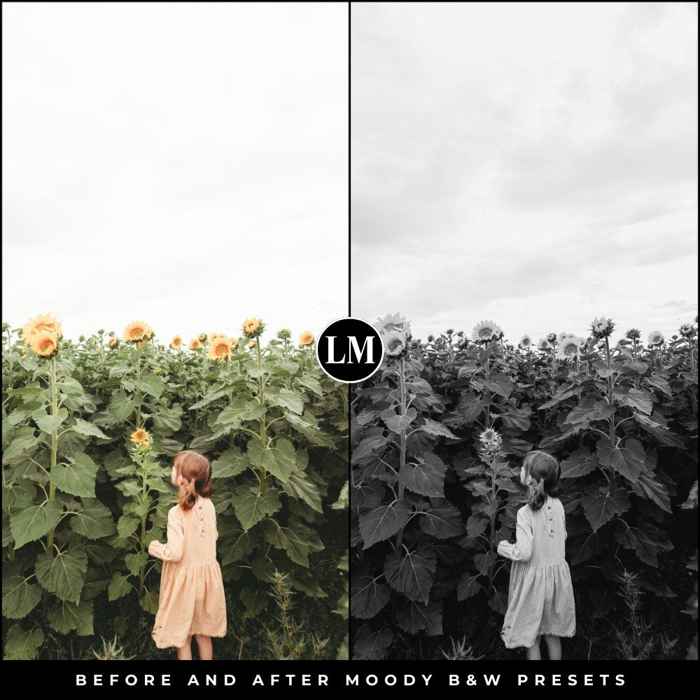 Moody Black and White Lightroom Presets by Lou and Marks Presets