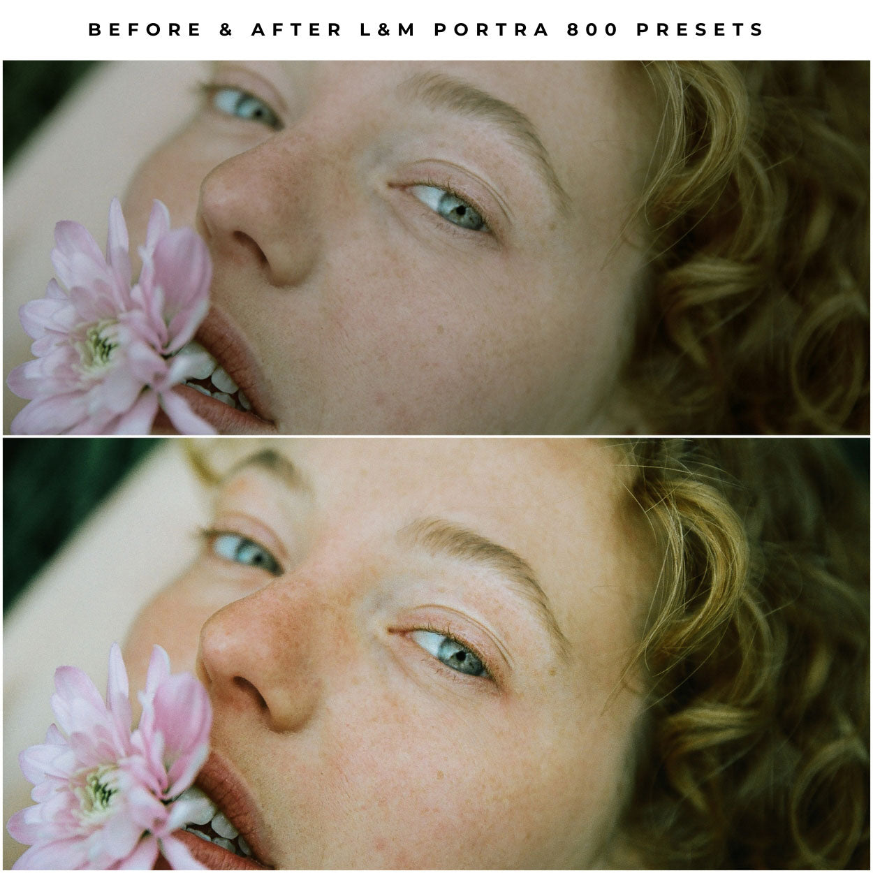 Kodak Portra 800 Film Lightroom Presets by Lou and Marks Presets