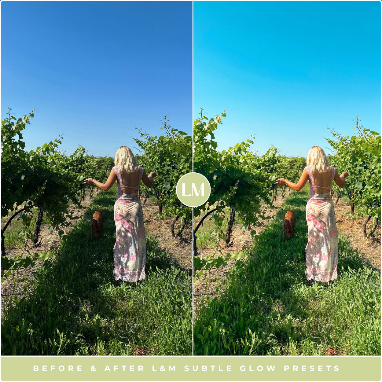 Subtle Glow Lightroom Presets by Lou and Marks Presets
