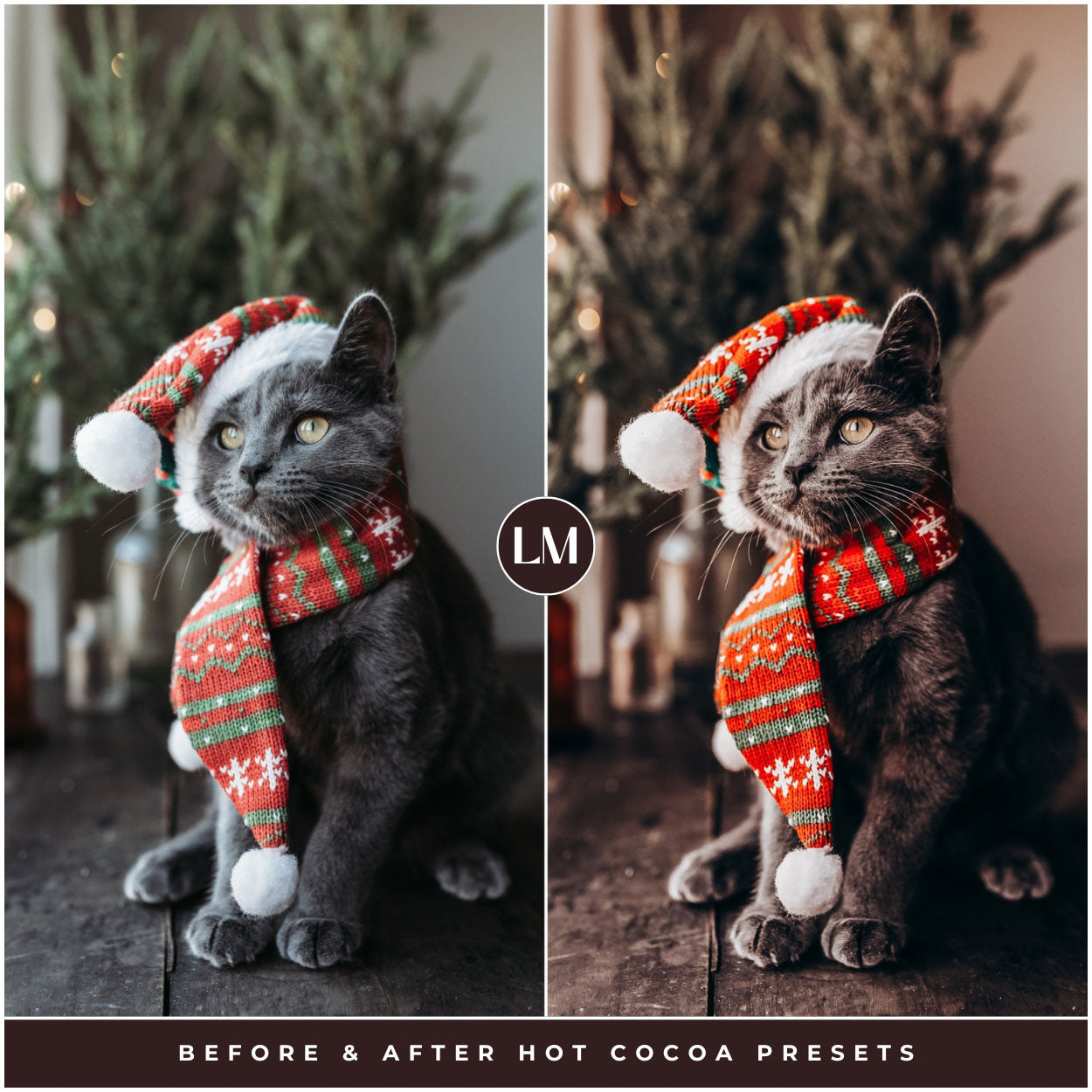 Pet Hot Cocoa Lightroom Presets For Christmas And Winter Photo Editing In Adobe Lightroom By Lou And Marks Presets
