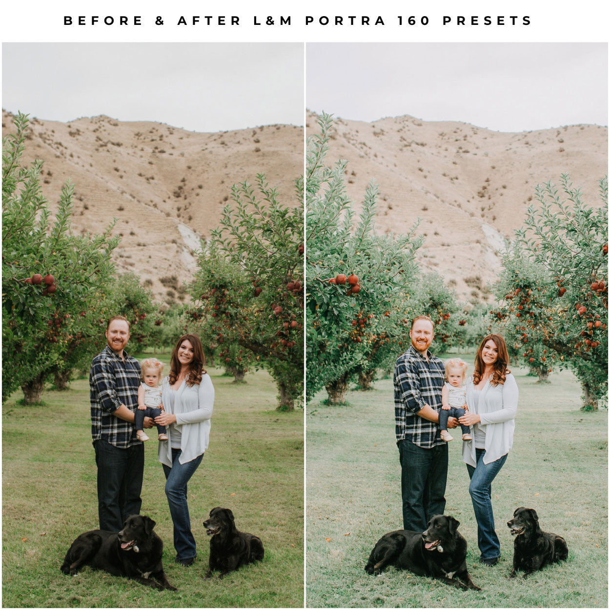 Kodak Portra 160 Film Lightroom Presets by Lou and Marks Presets
