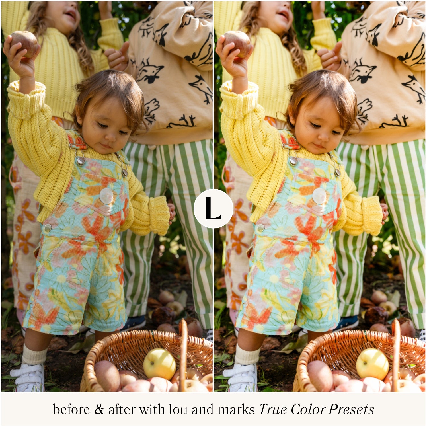 True Color Lightroom Presets For Photographer photo editing portraits weddings and influencer styled photos in just one click mobile and desktop