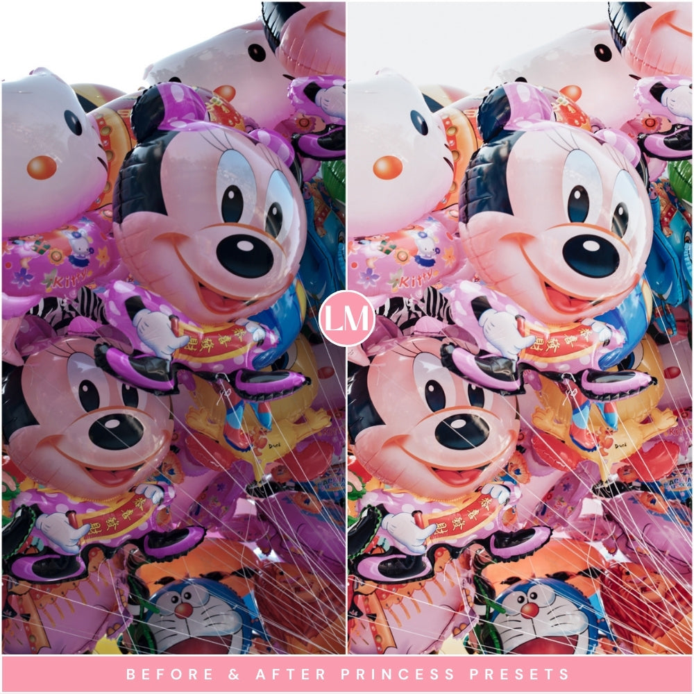 Princess Best Disney Lightroom Presets By Lou And Marks Presets Disneyworld