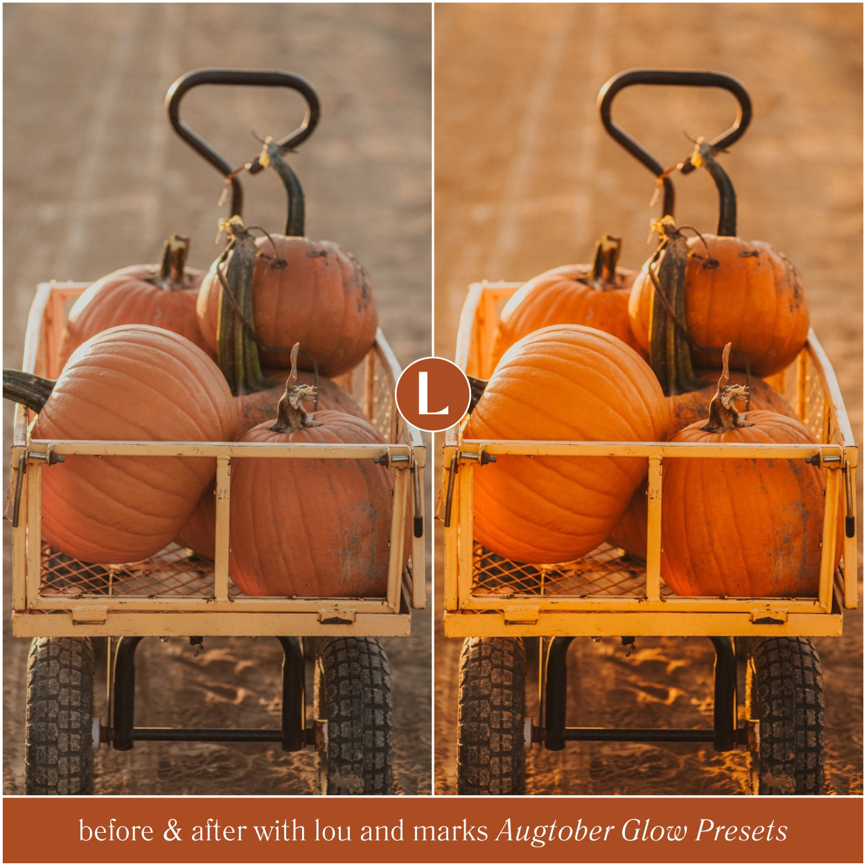 Fall Lightroom Presets For Adobe Photo Editing by Photographers in Adobe Lightroom Mobile and Desktop and Photoshop ACR Augtober Glow by Lou And Marks Presets