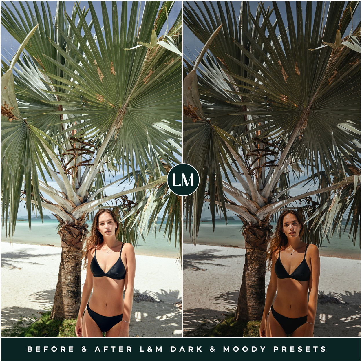 Dark and Moody Lightroom Presets by Lou and Marks Presets Filters