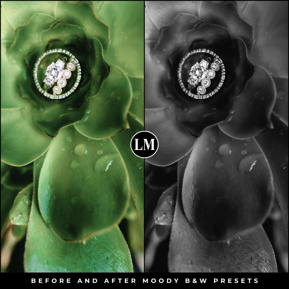 Moody Black and White Lightroom Presets by Lou and Marks Presets