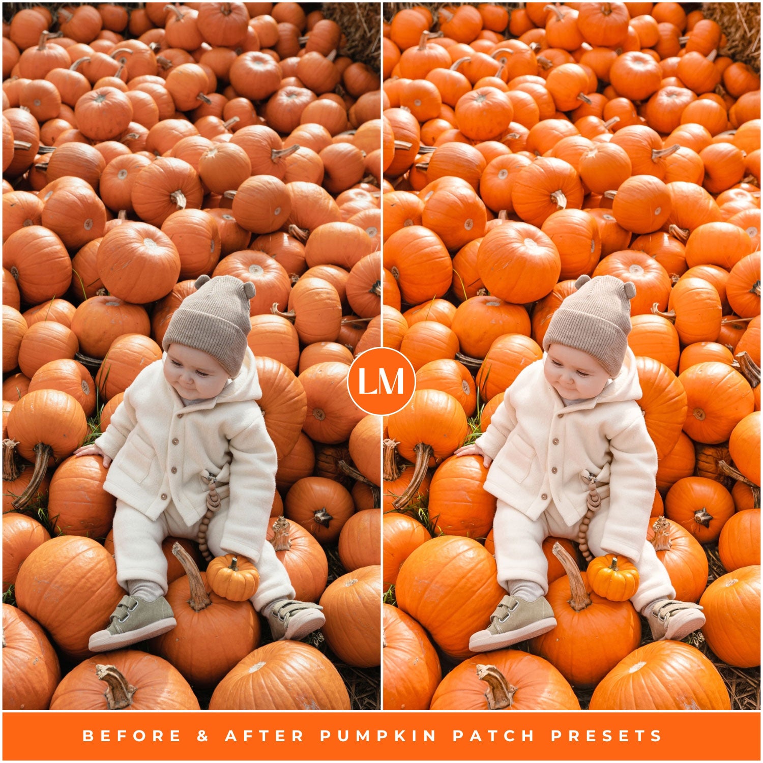 Fall Pumpkin Patch Lightroom Presets By Lou And Marks Presets