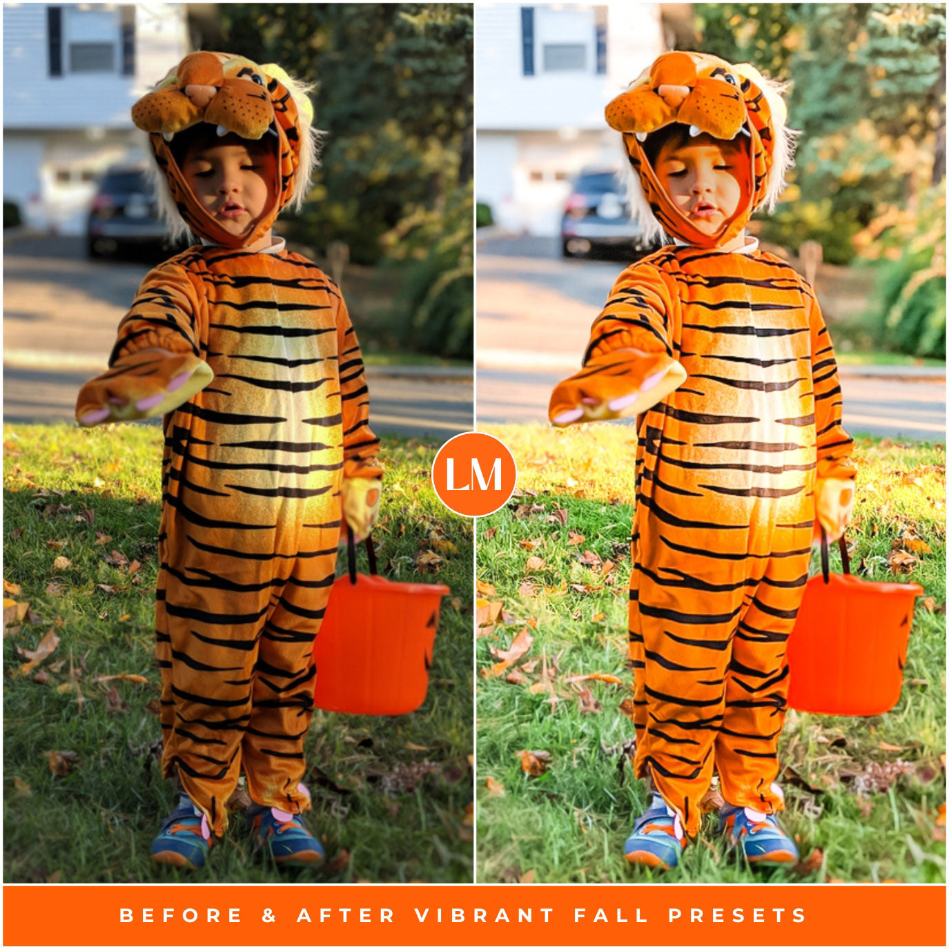 Vibrant Fall Lightroom Presets By Lou And Marks Presets