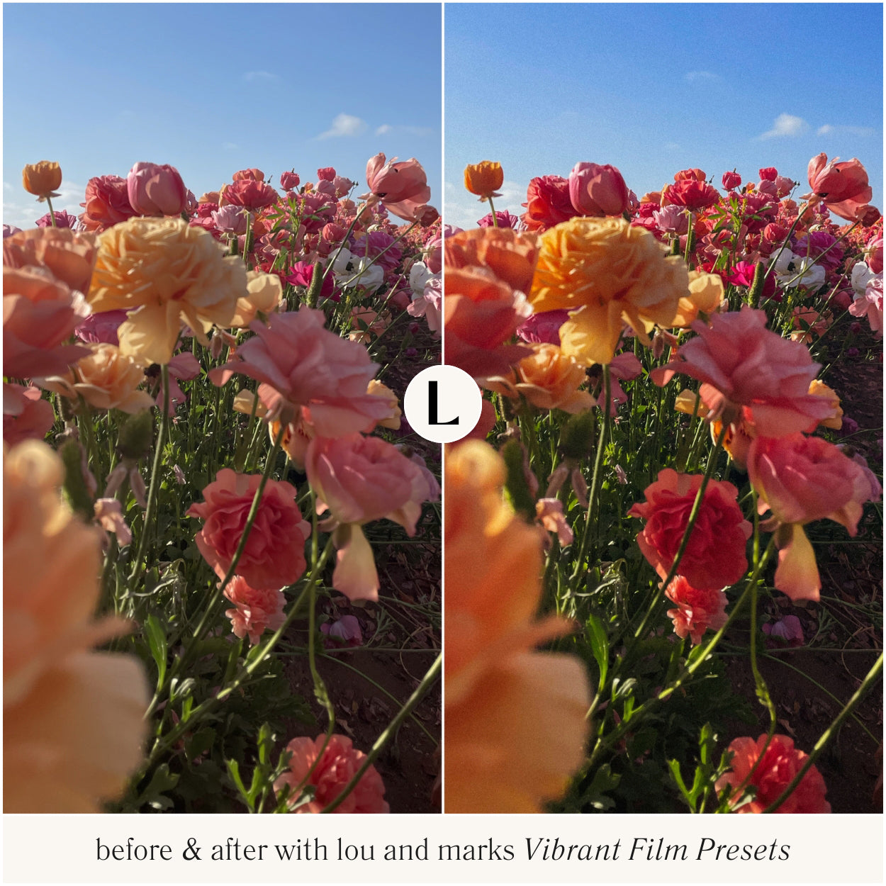 Photo Presets Vibrant Film Lightroom Presets For Photo Editing In Adobe Lightroom Mobile And Desktop By Lou And Marks Presets